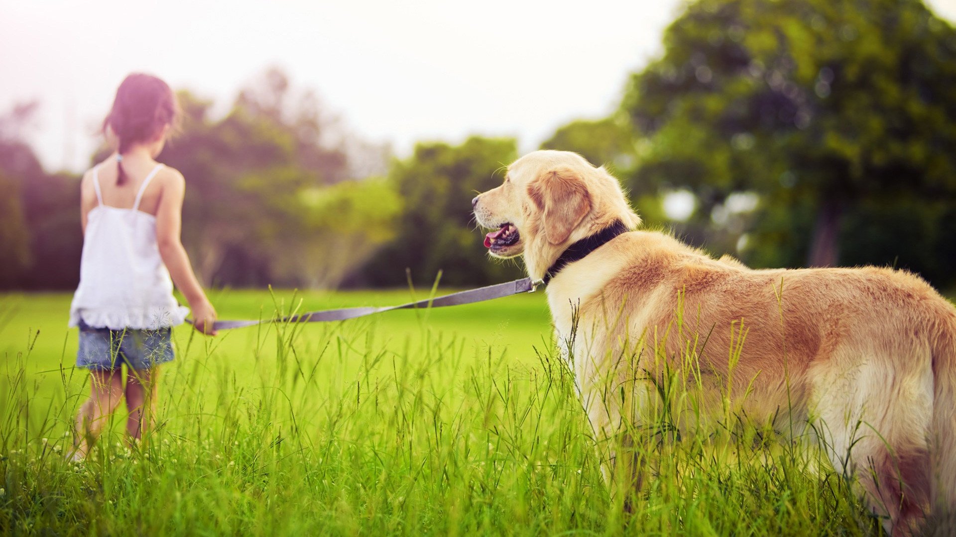 小清新,温馨一刻,女孩,狗,2月17日,儿童桌面专用
