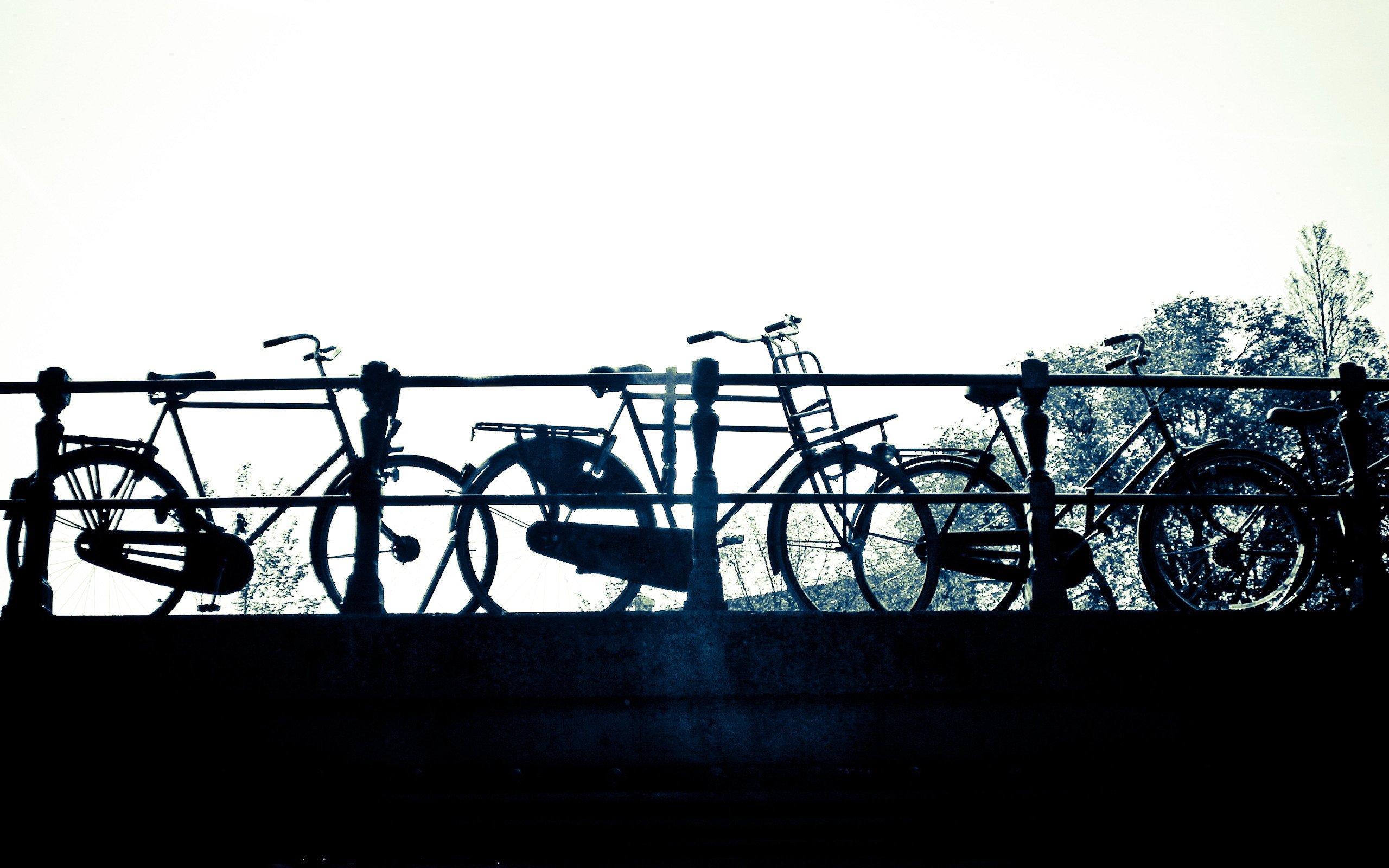 小清新,静物写真,自行车,1月31日