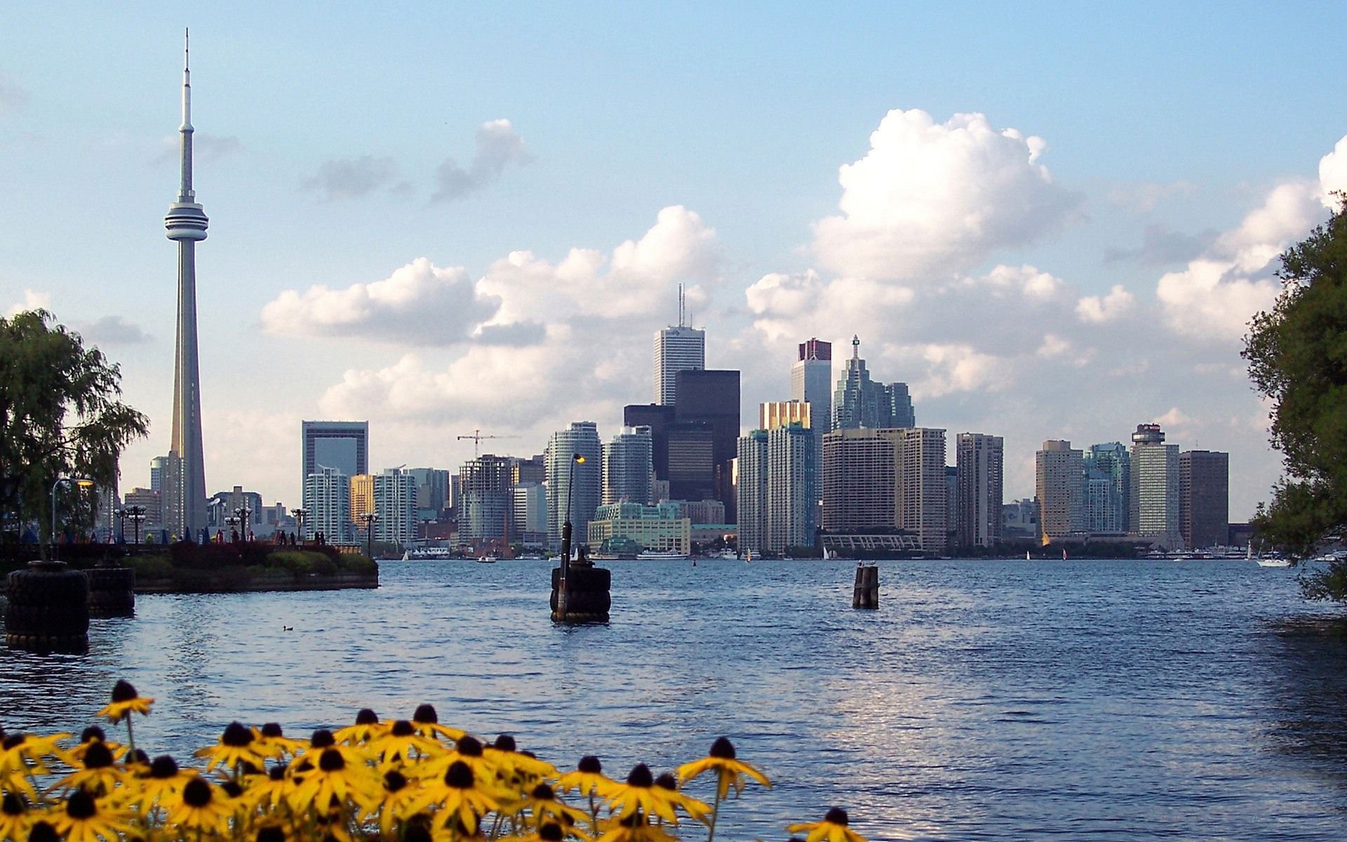多伦多,风景,风光,美景,旅游,儿童桌面专用
