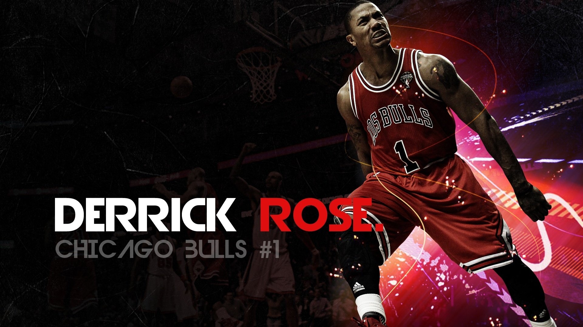 体育,NBA,公牛队,罗斯,芝加哥