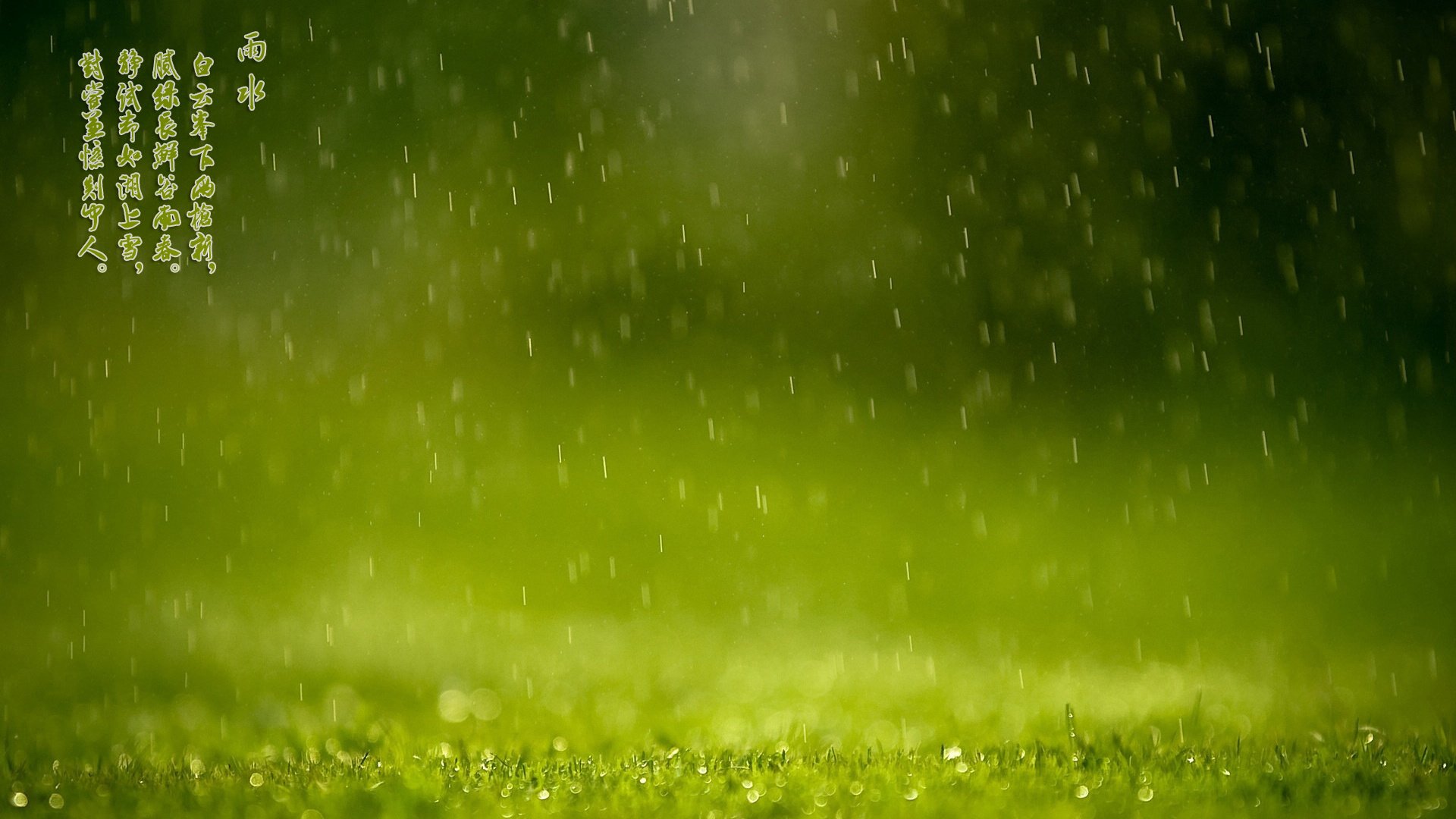 节日,节气,雨水,24节气,儿童桌面专用