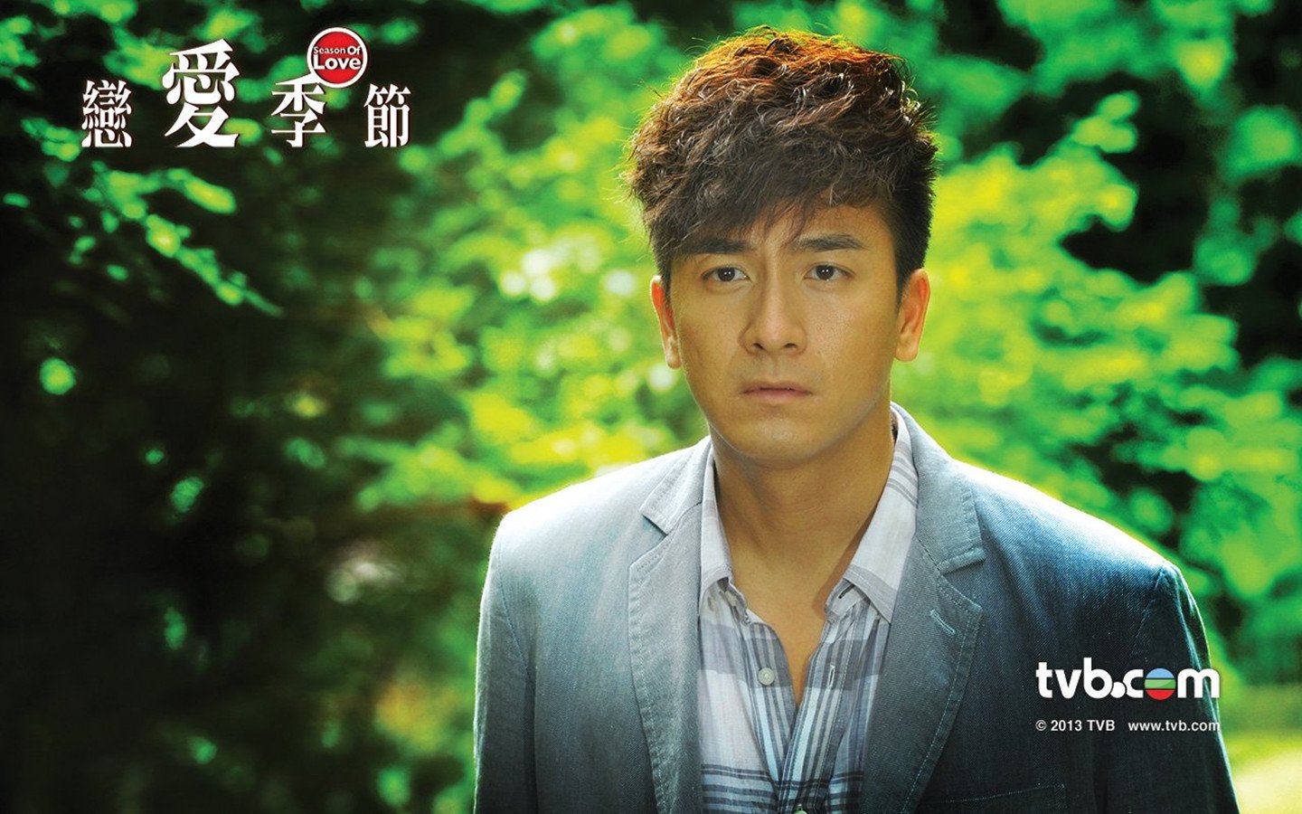 影视,TVB,恋爱季节,2月22日