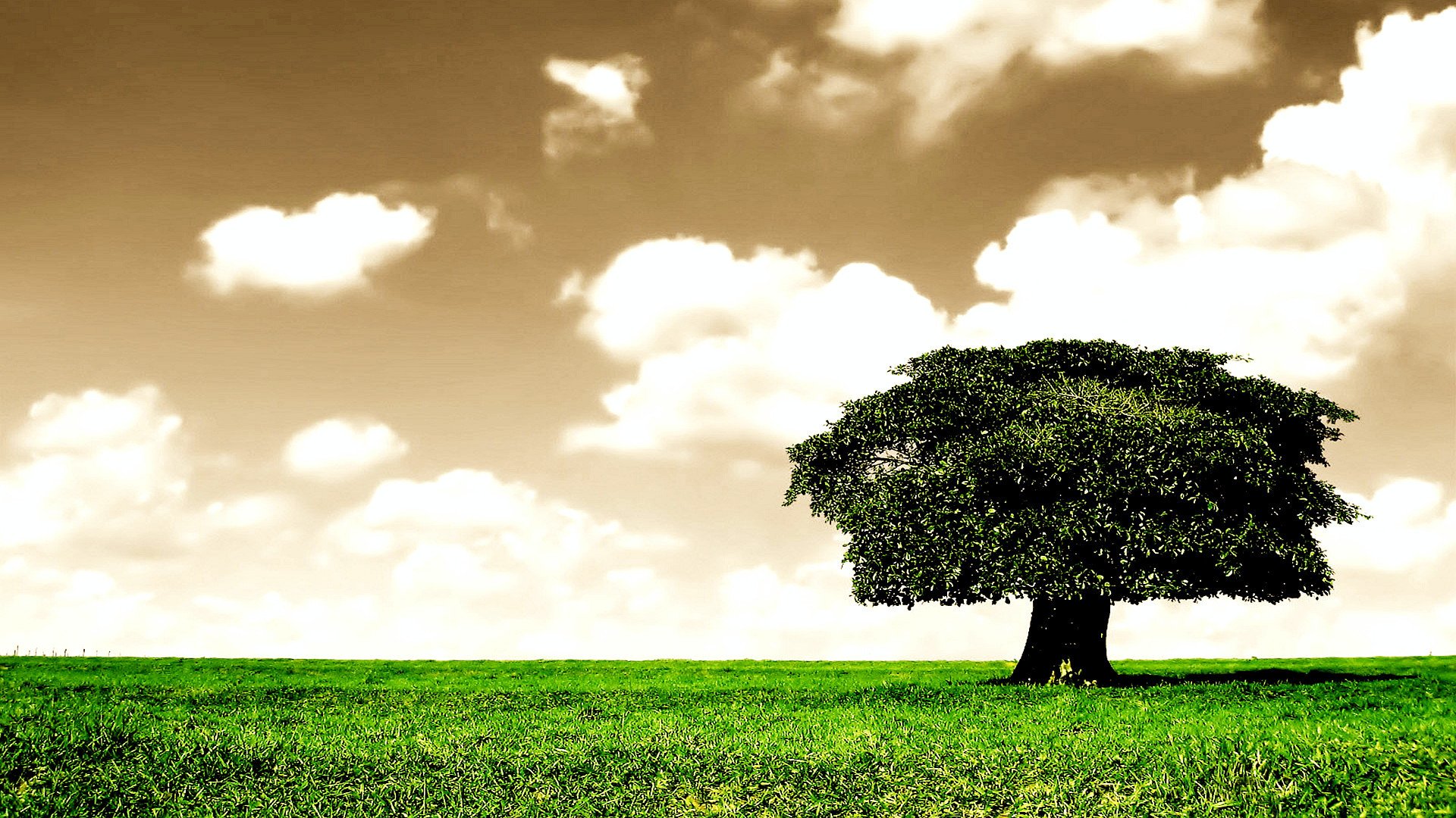 小清新,清新淡雅,蓝天白云,2月15日,儿童桌面专用