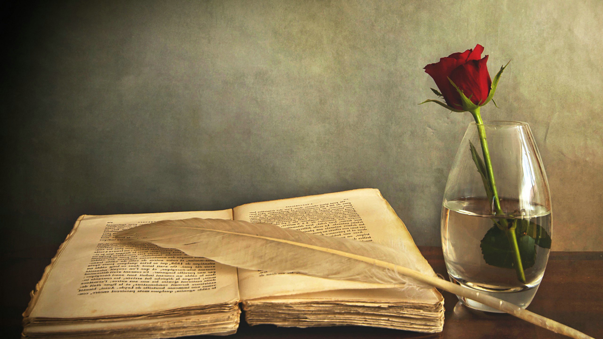 爱情美图,唯美温馨,玫瑰笔记本