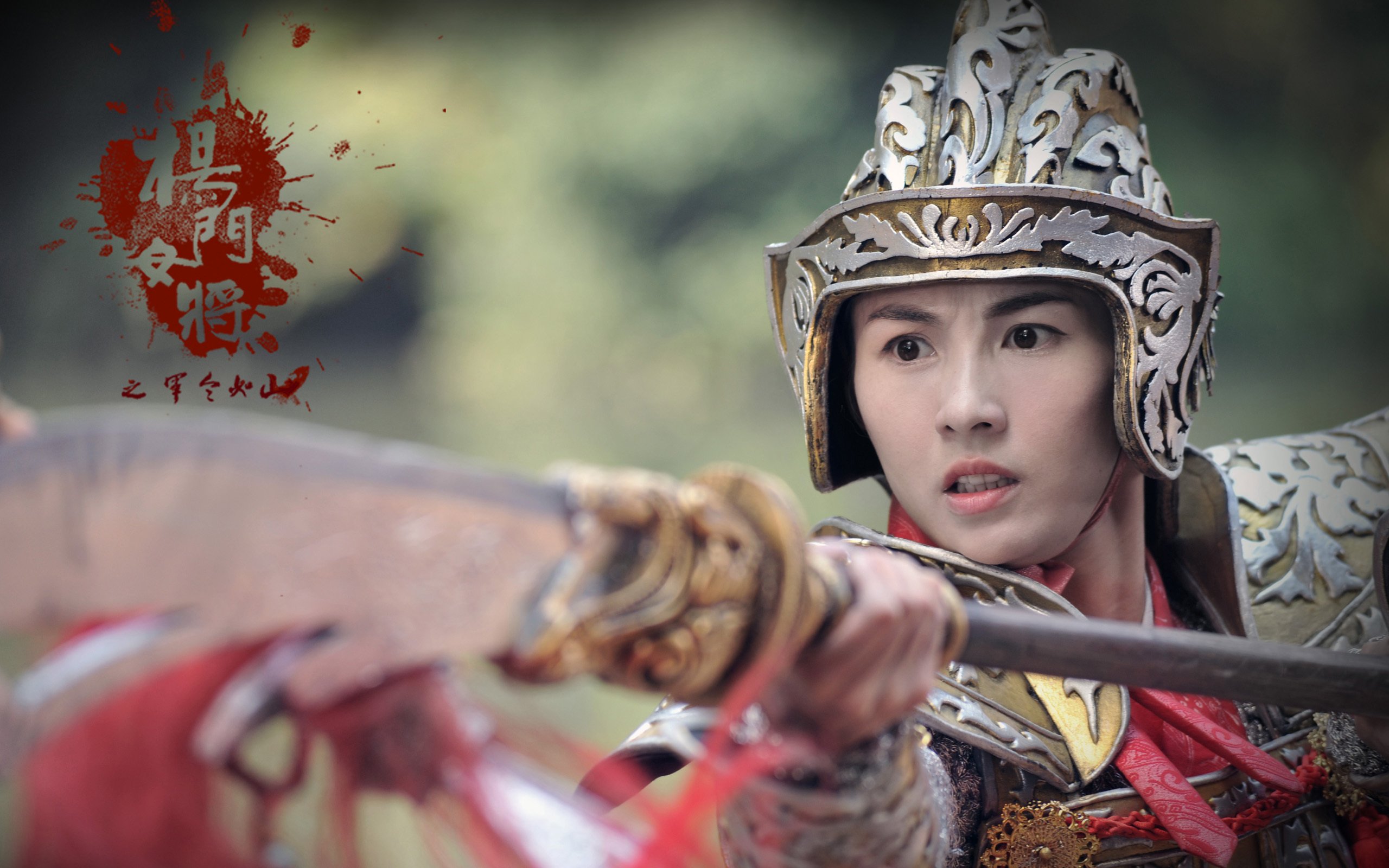 影视,杨门女将之军令如山,张柏芝,2月26日