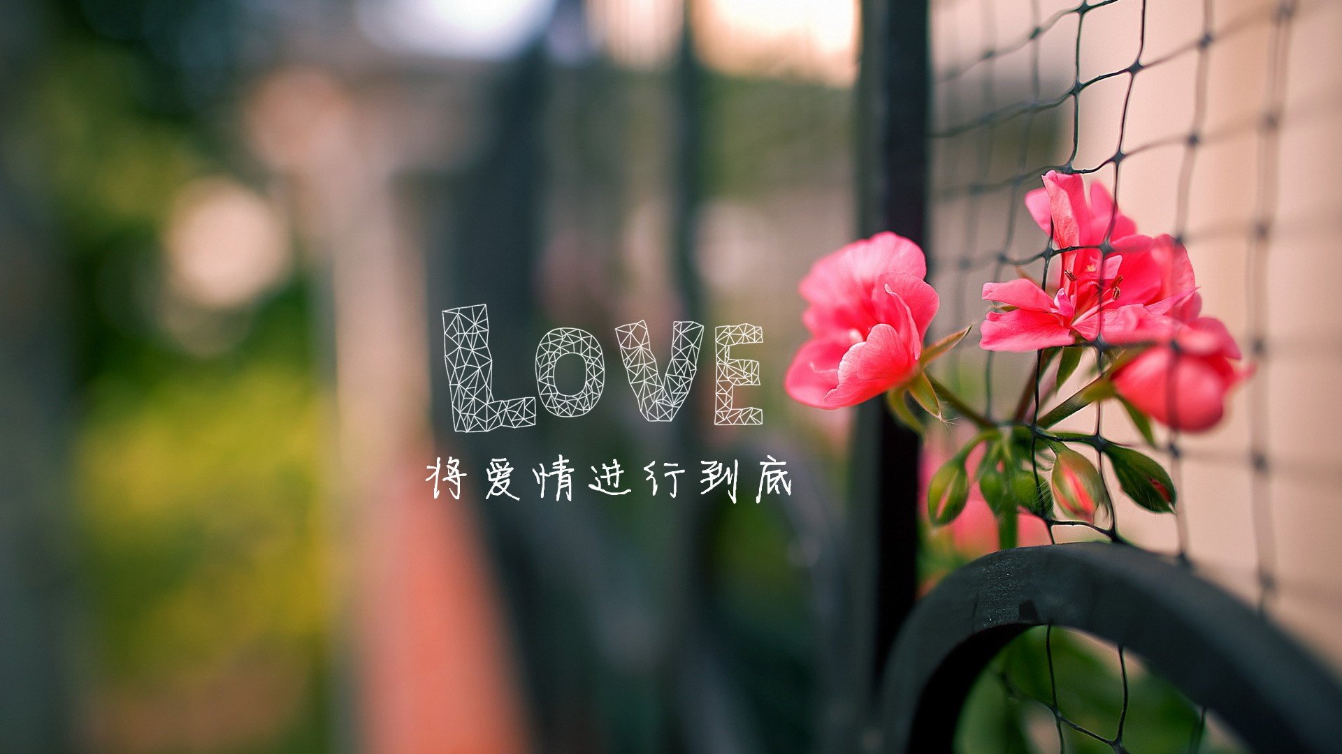 爱情美图,唯美温馨,将爱情进行到底