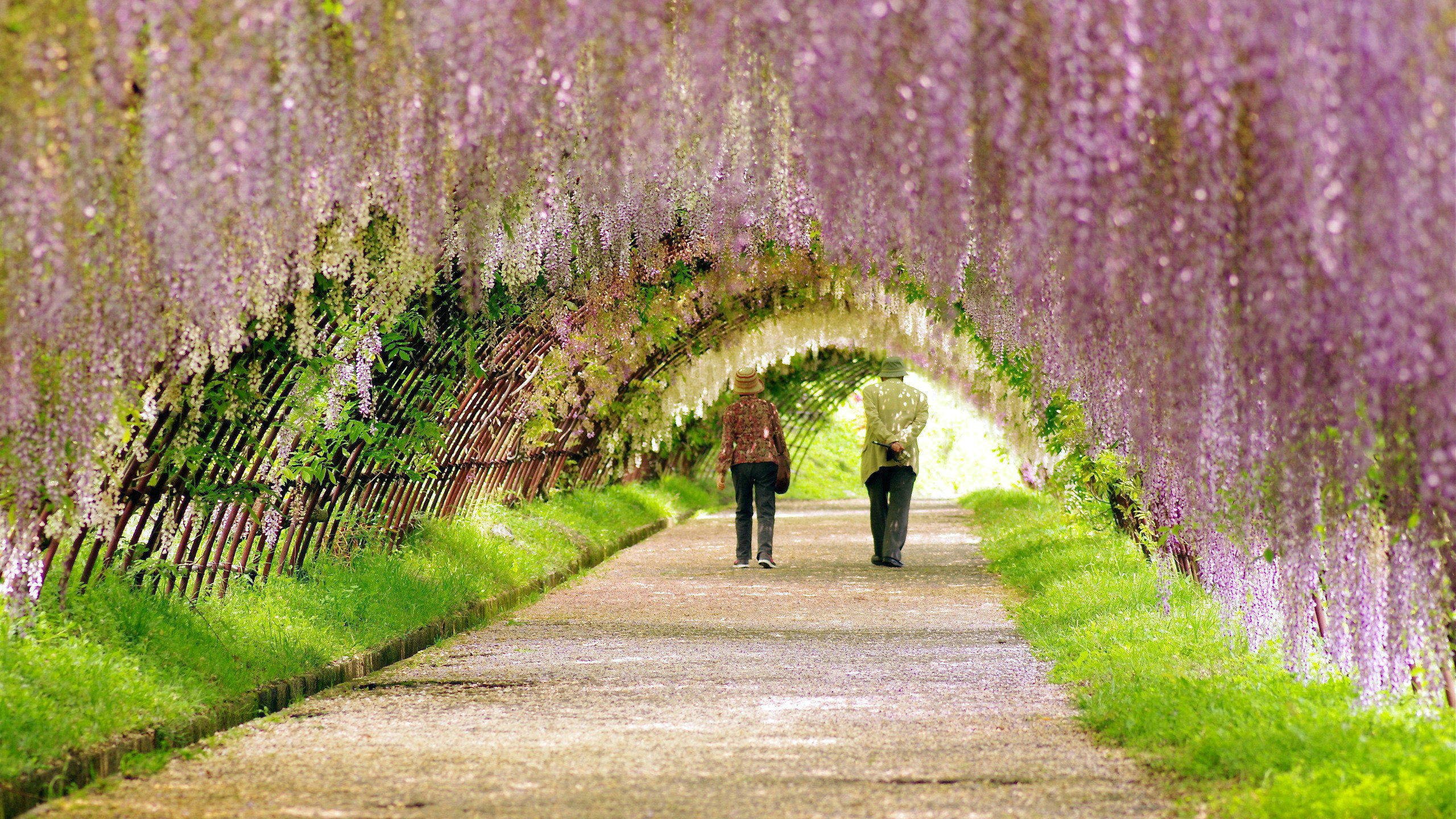 爱情美图,唯美温馨,恩爱,浪漫