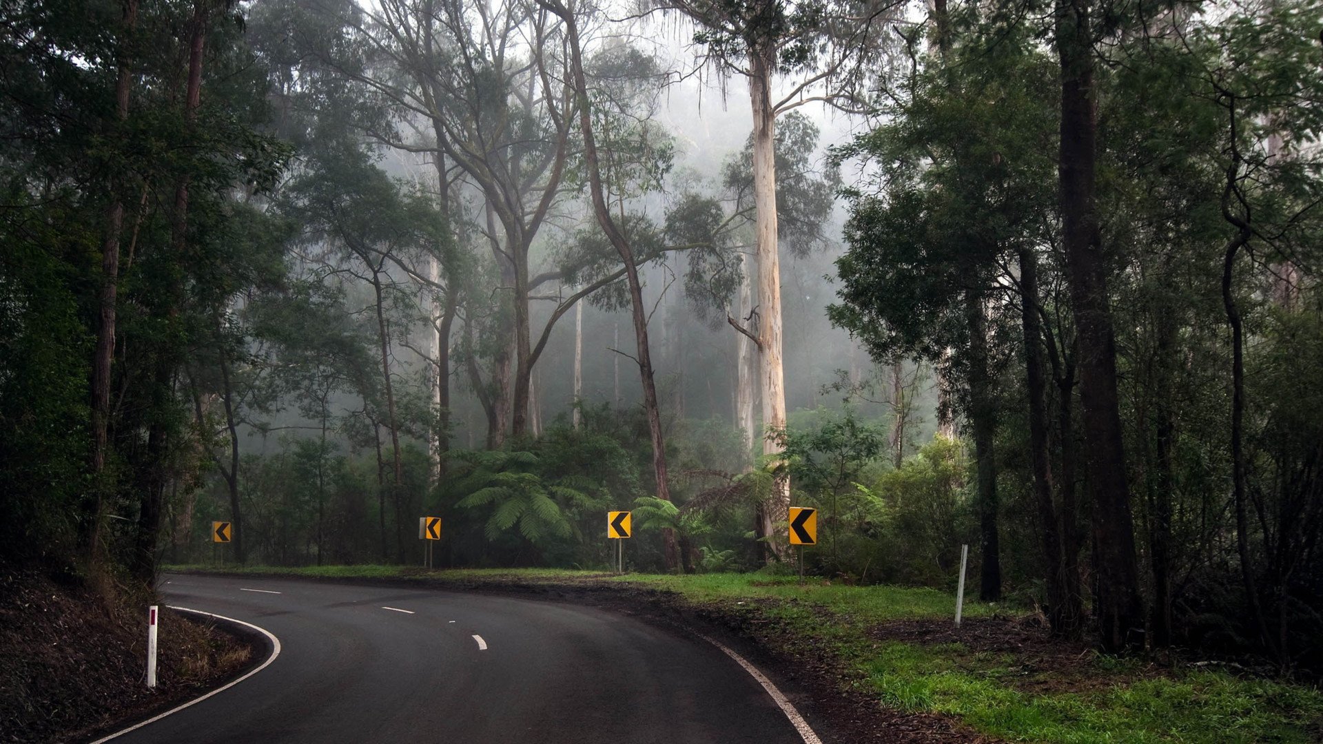 秀丽景色,风景,风光,美景,旅游,自然,儿童桌面专用