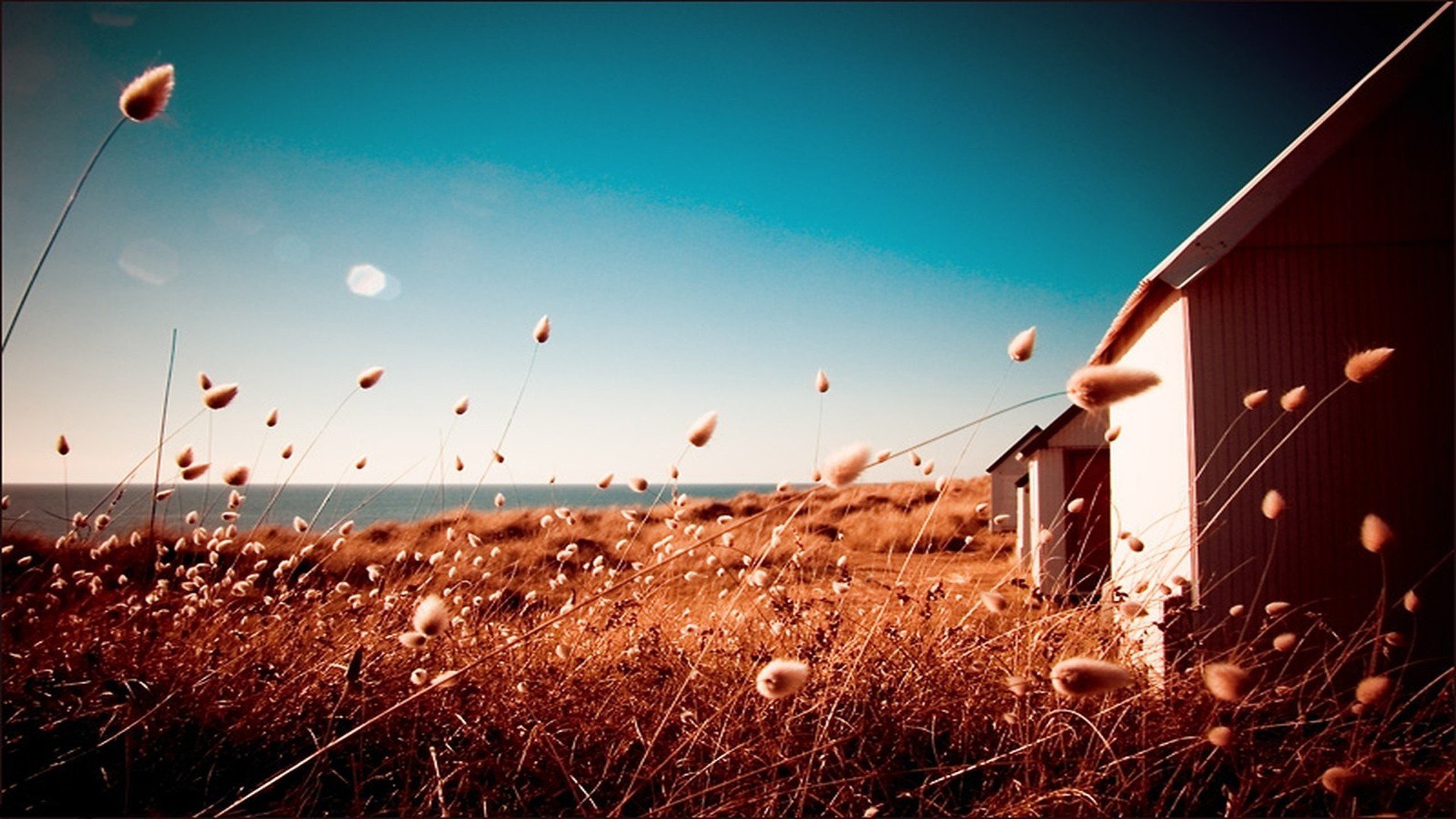 小清新,清新淡雅,1月31日,儿童桌面专用