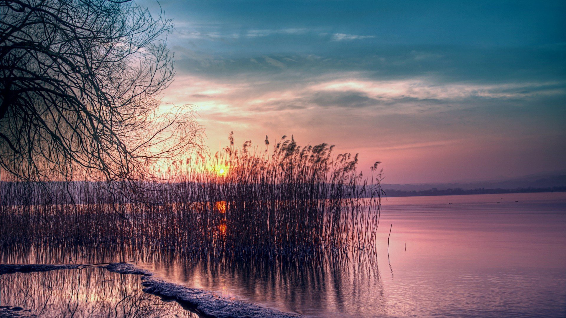 小清新,清新淡雅,2月25日,儿童桌面专用