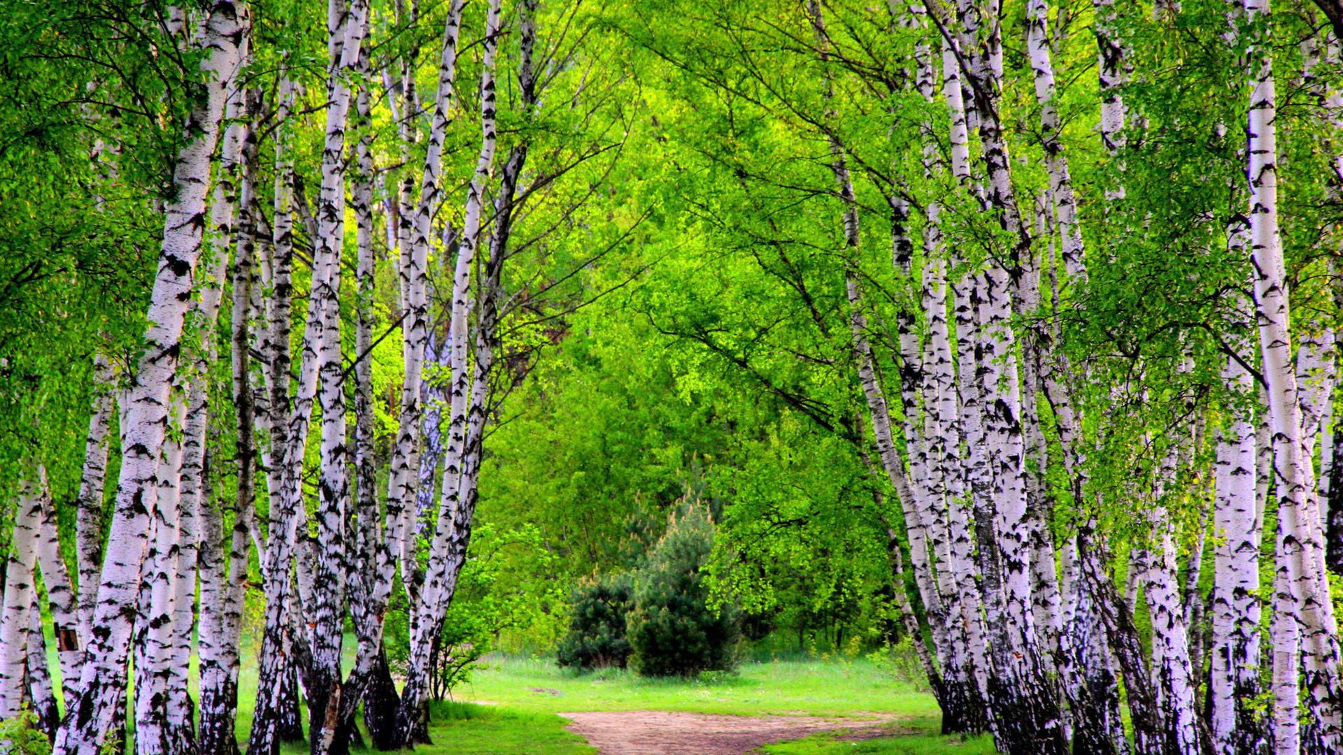 清新美景,风景,风光,美景,旅游,自然,儿童桌面专用