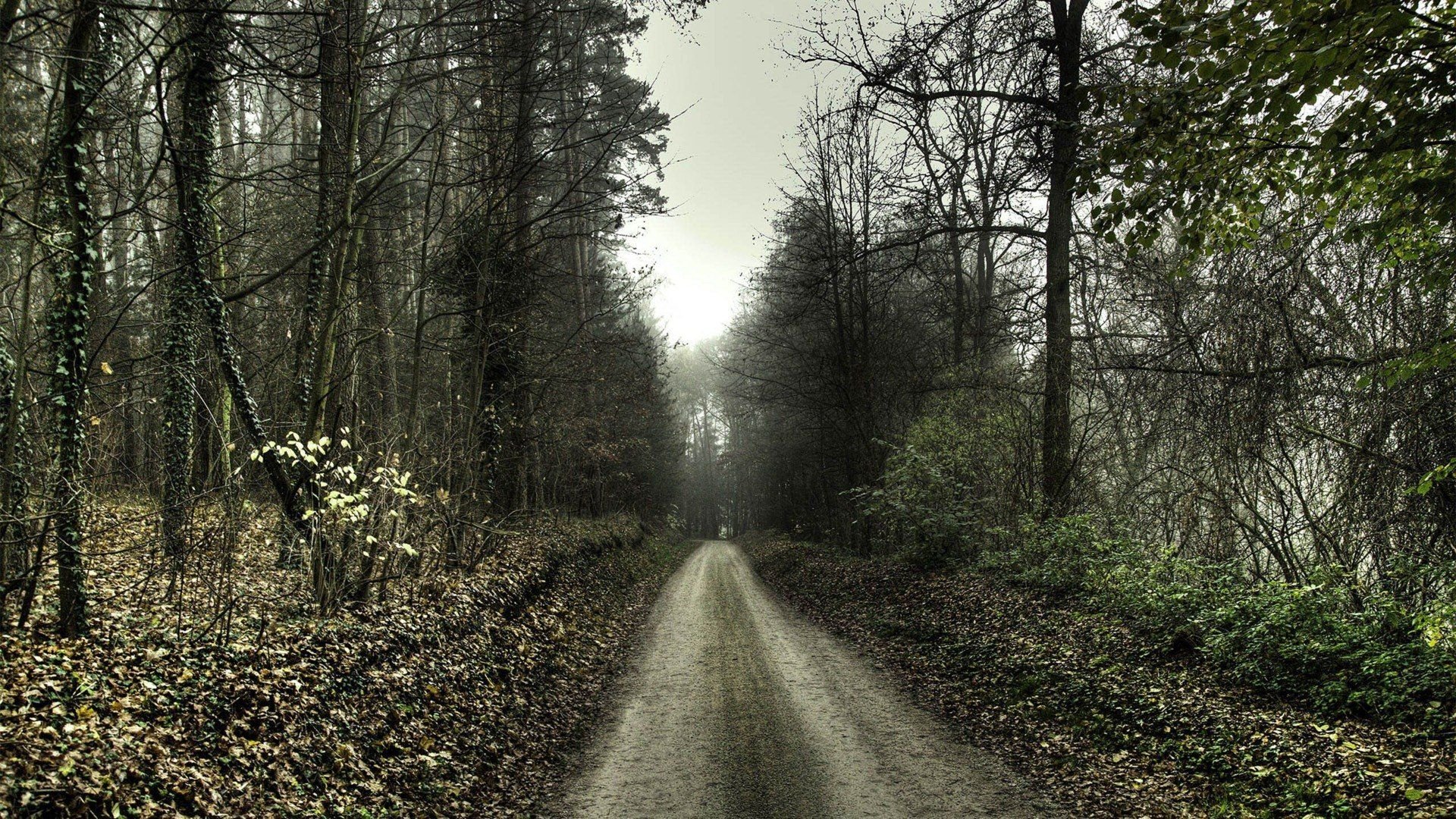 风景,风光,美景,旅游,自然,儿童桌面专用