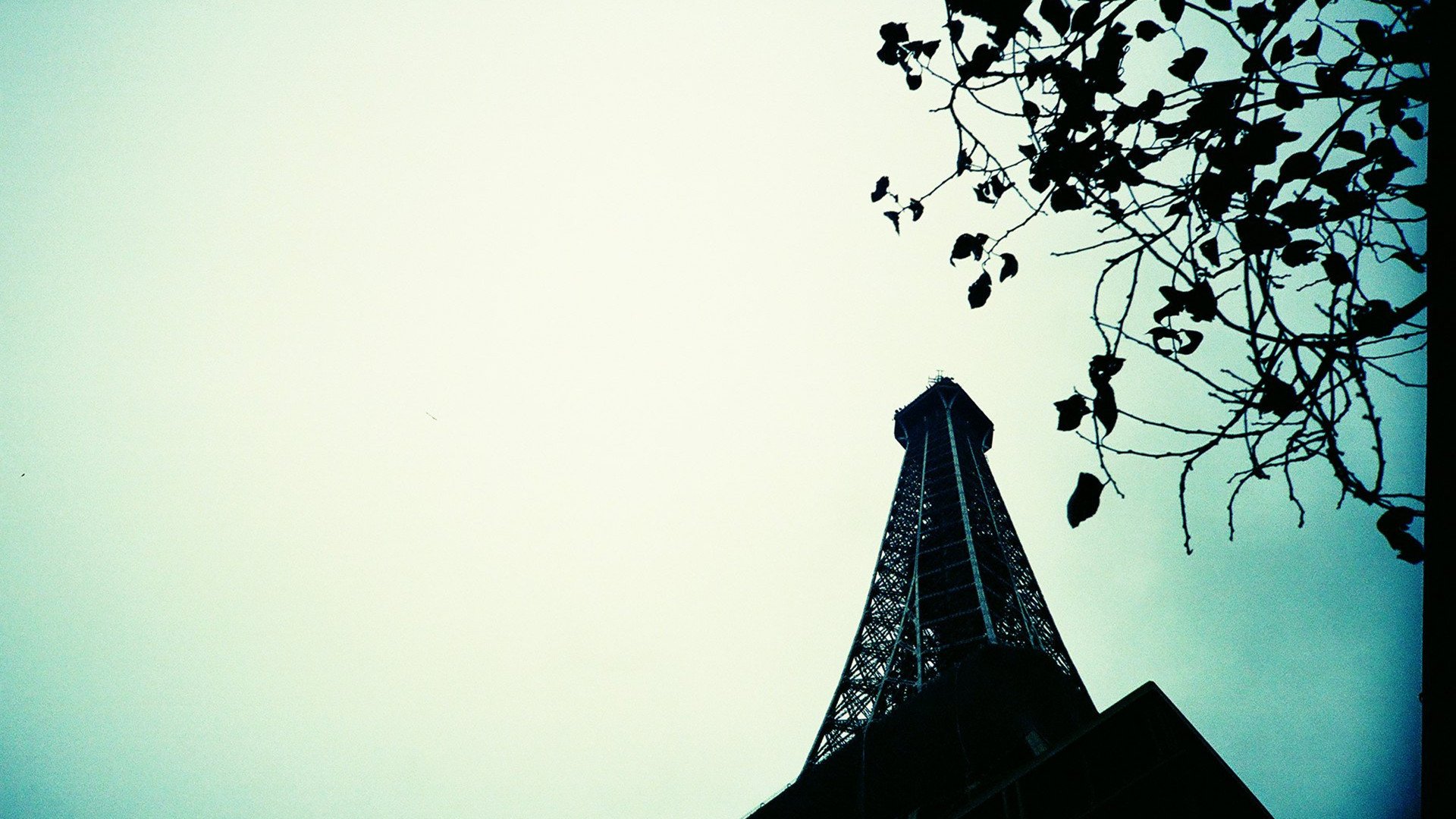 小清新,清新淡雅,2月17日,儿童桌面专用