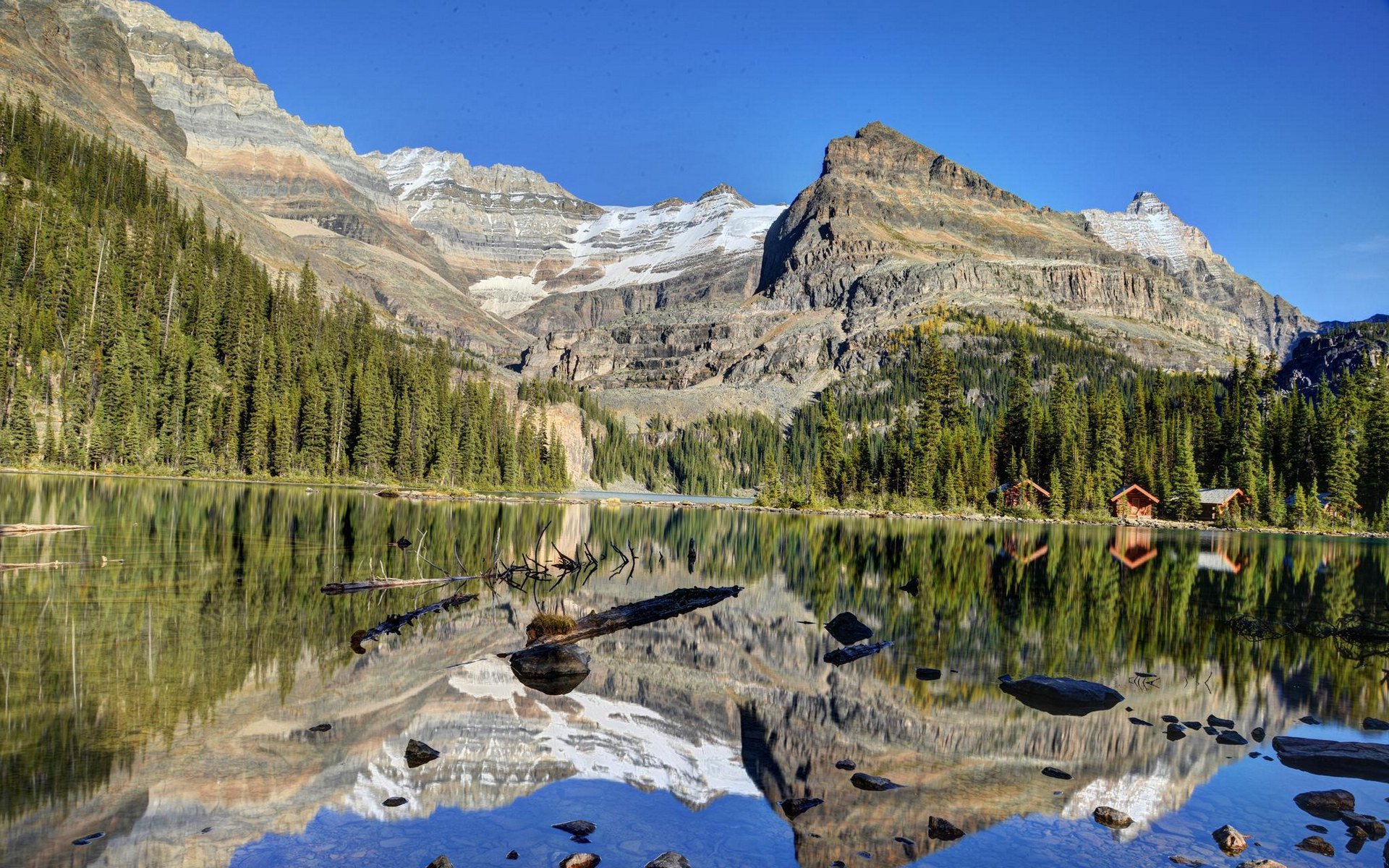 风景,风光,大自然,美景,旅游,加拿大,幽鹤,国家公园,儿童桌面专用