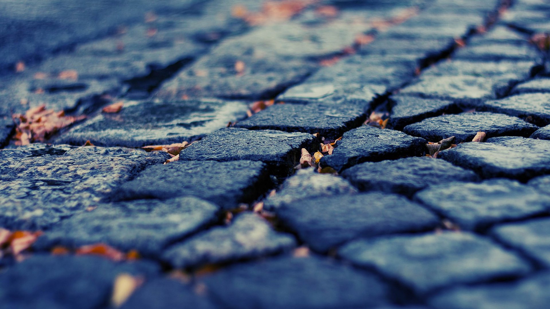 小清新,温馨一刻,路,1月31日