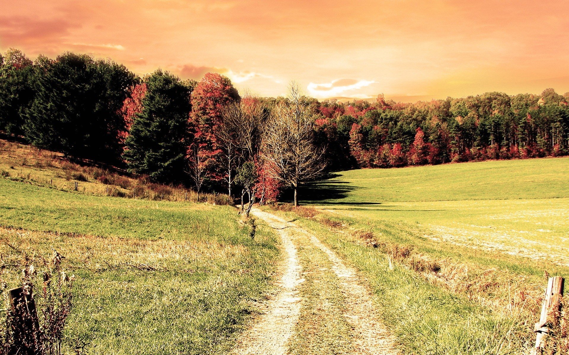 绿色,明媚,美景,旅游,自然,儿童桌面专用