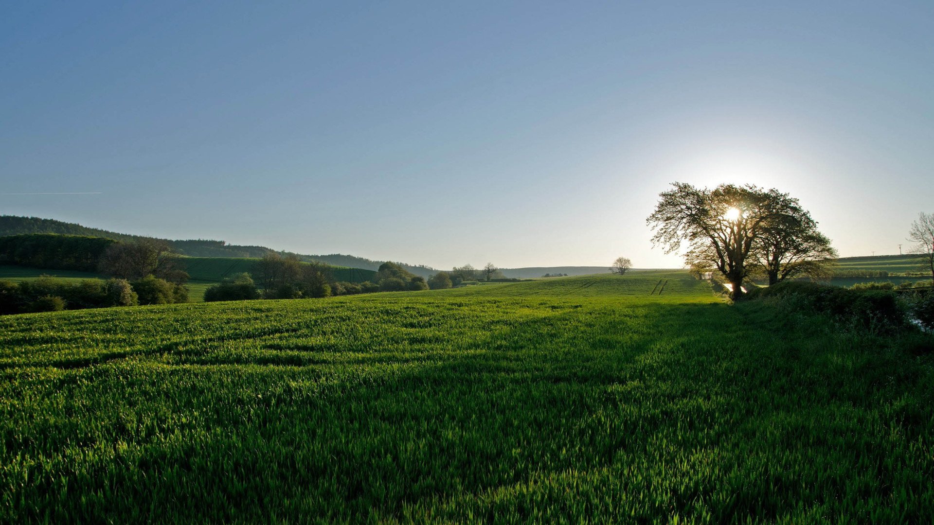 清新美景,风景,风光,美景,旅游,自然,儿童桌面专用