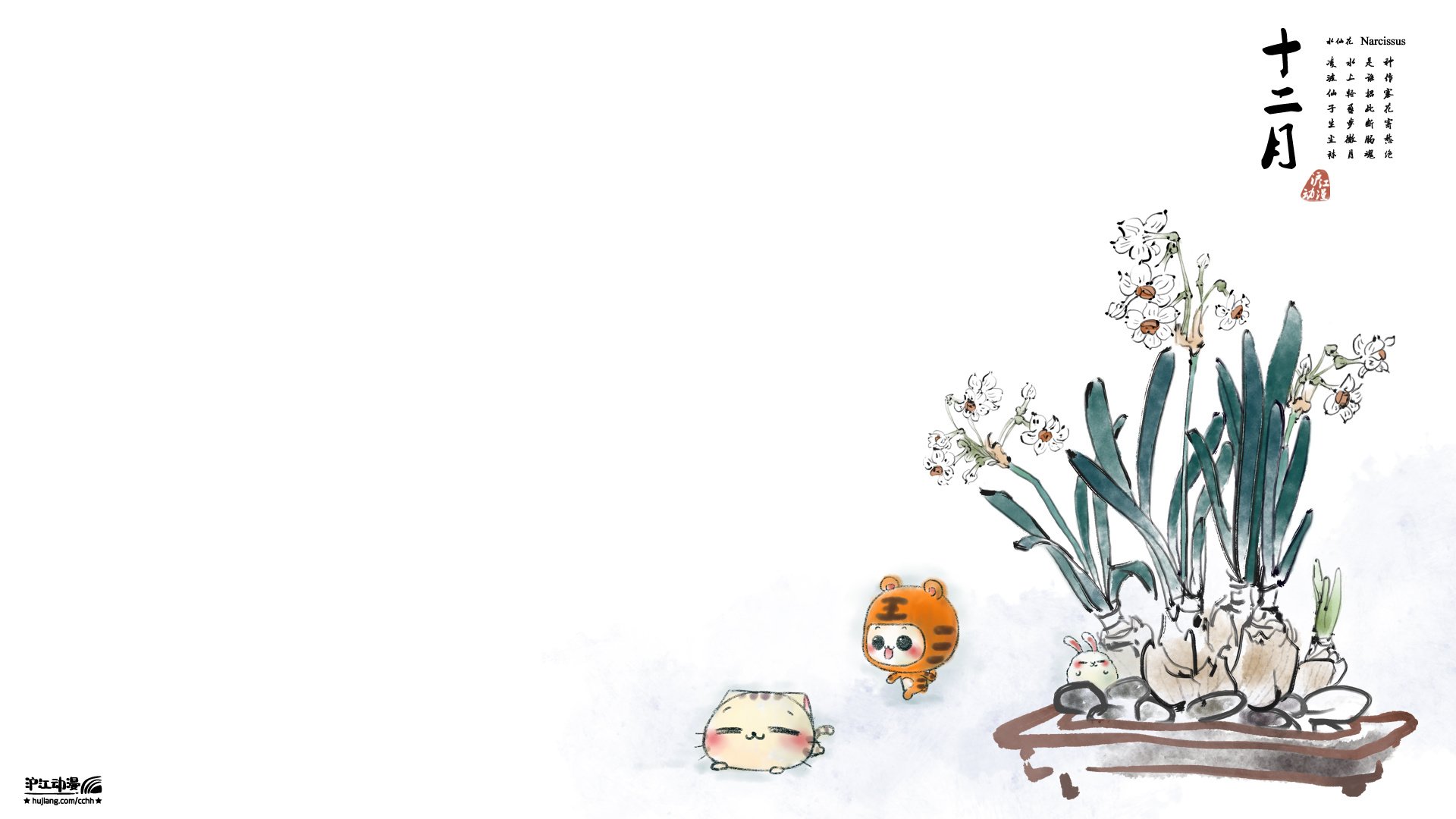 动漫,CC猫,原创,CC猫12月水仙花,CC猫十二月水仙花,儿童桌面专用