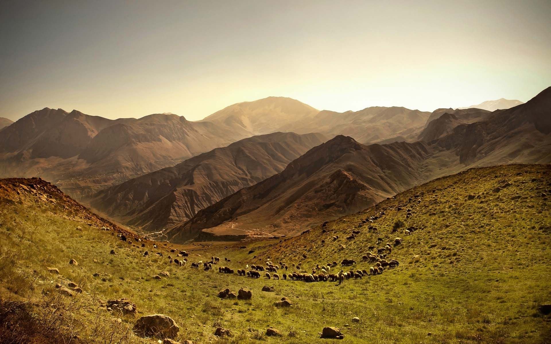 伊朗,风景,风光,美景,旅游,儿童桌面专用