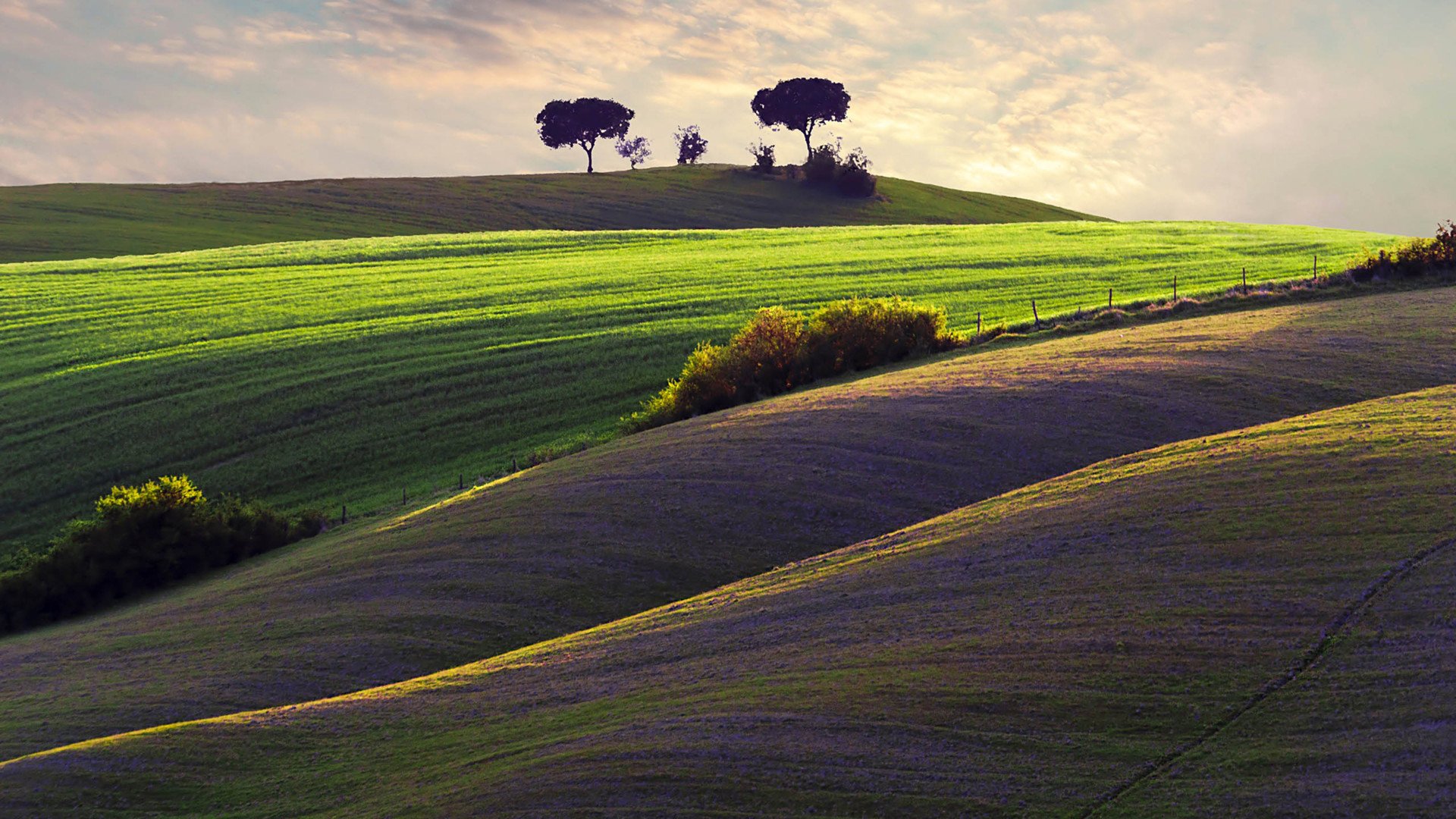 清新美景,风景,风光,美景,旅游,自然,儿童桌面专用