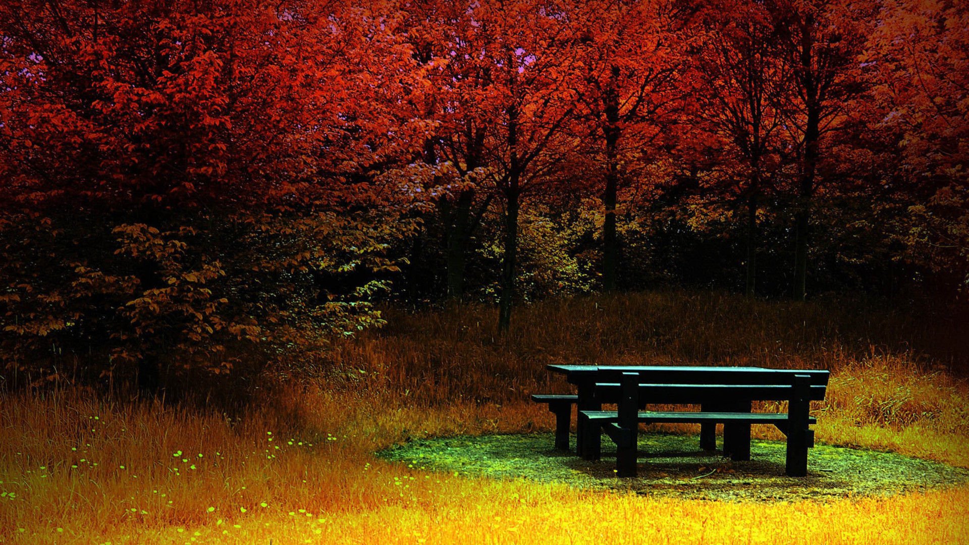 风景,风光,美景,旅游,自然,儿童桌面专用