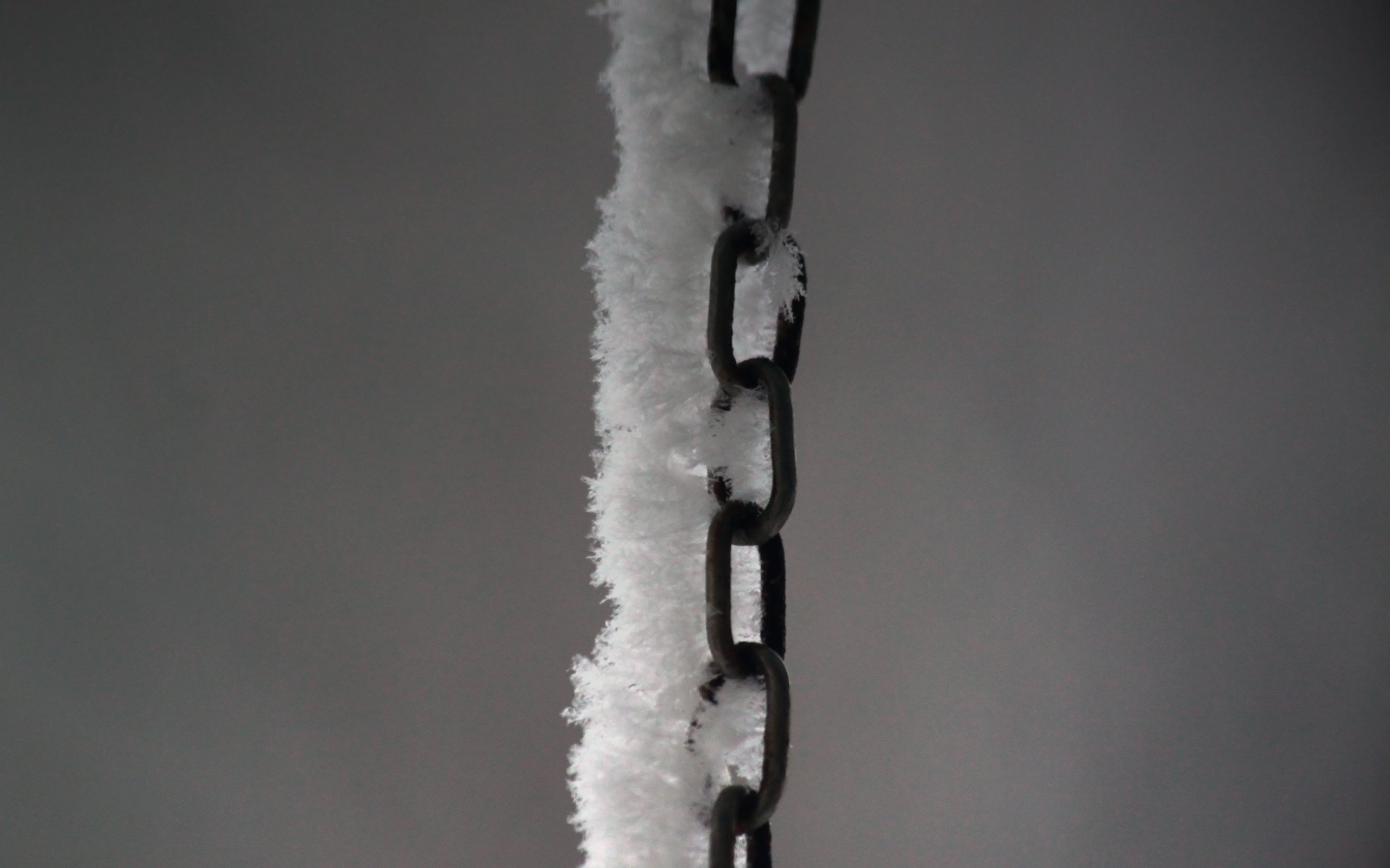 小清新,静物写真,铁链,1月31日