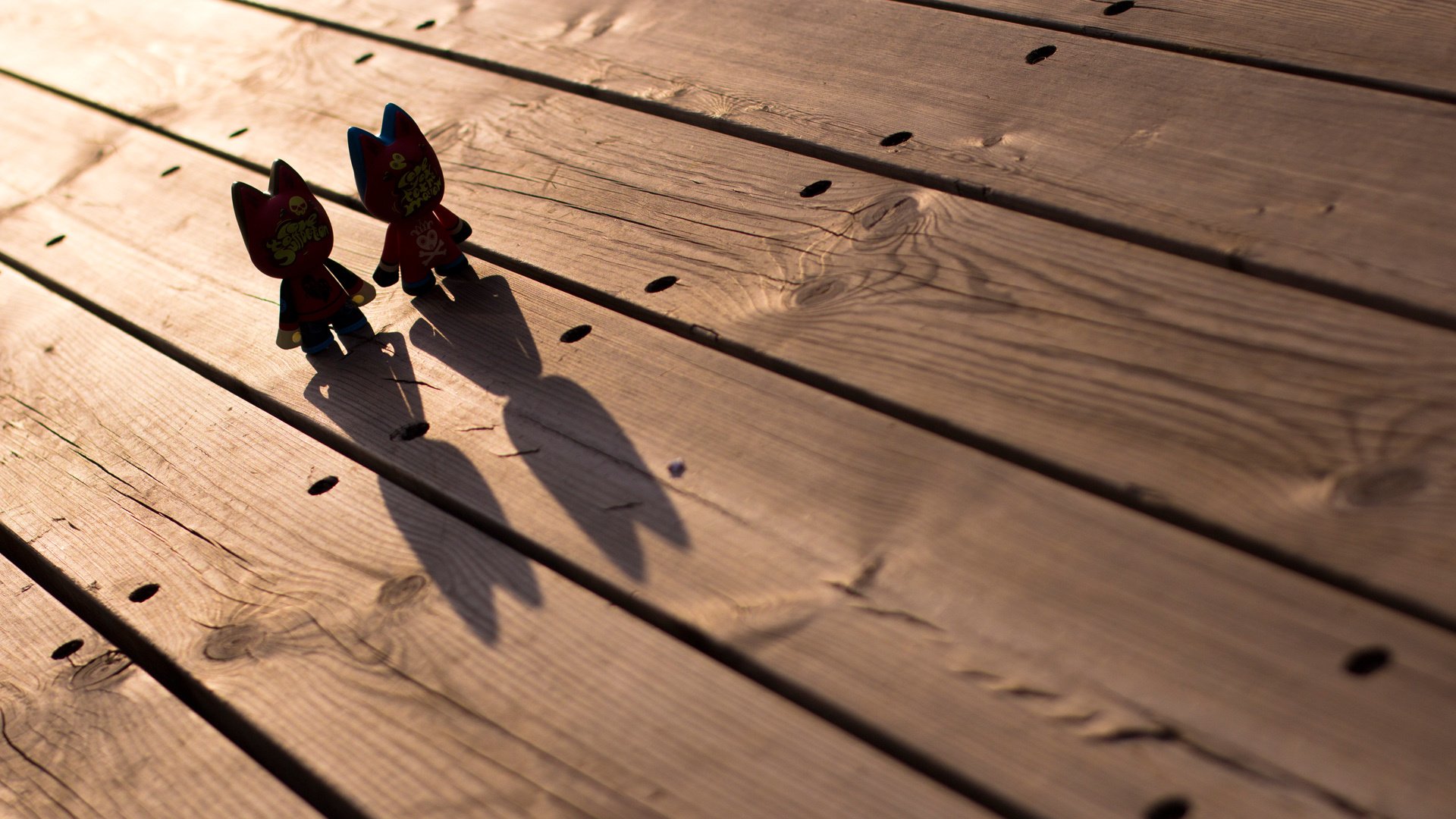 小清新,静物写真,猫无双,公仔,2月22日