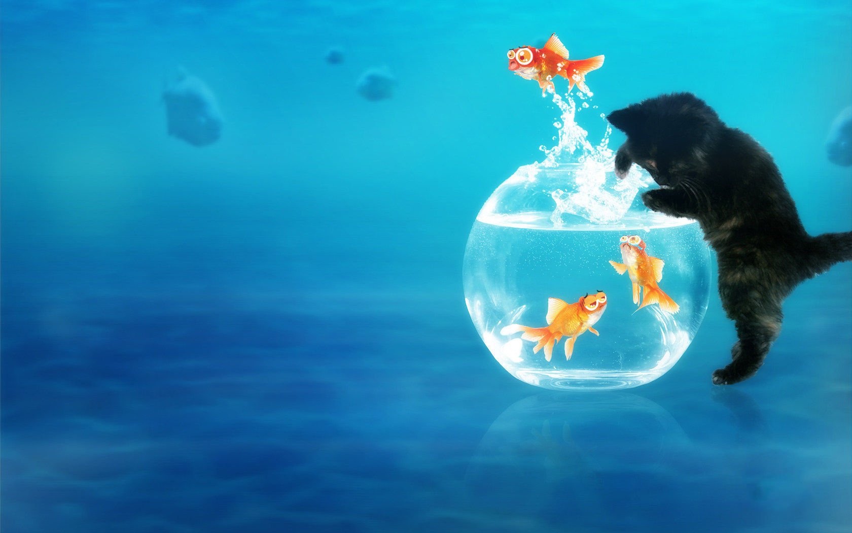 萌宠,喵星人,猫,可爱,卖萌,搞笑图,古灵精怪,鱼,儿童桌面专用