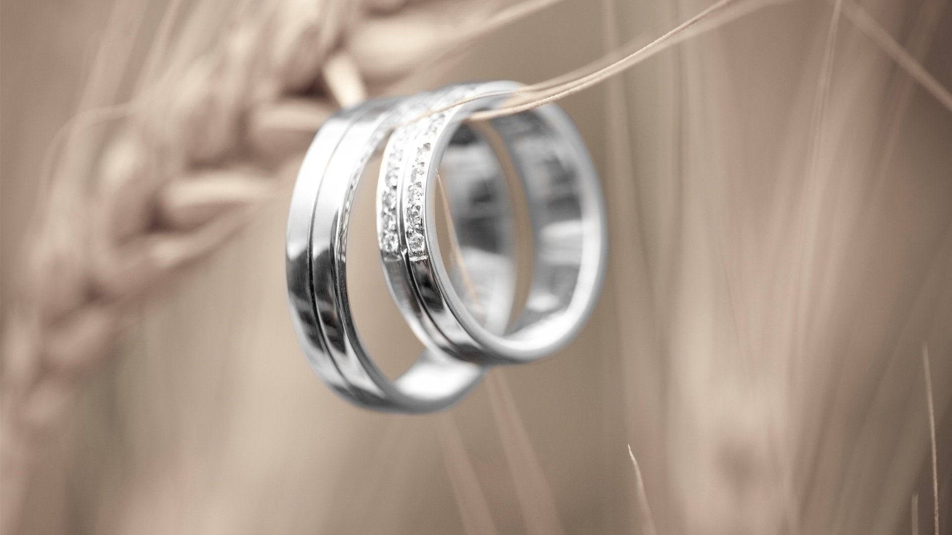 小清新,静物写真,戒指,2月5日,儿童桌面专用