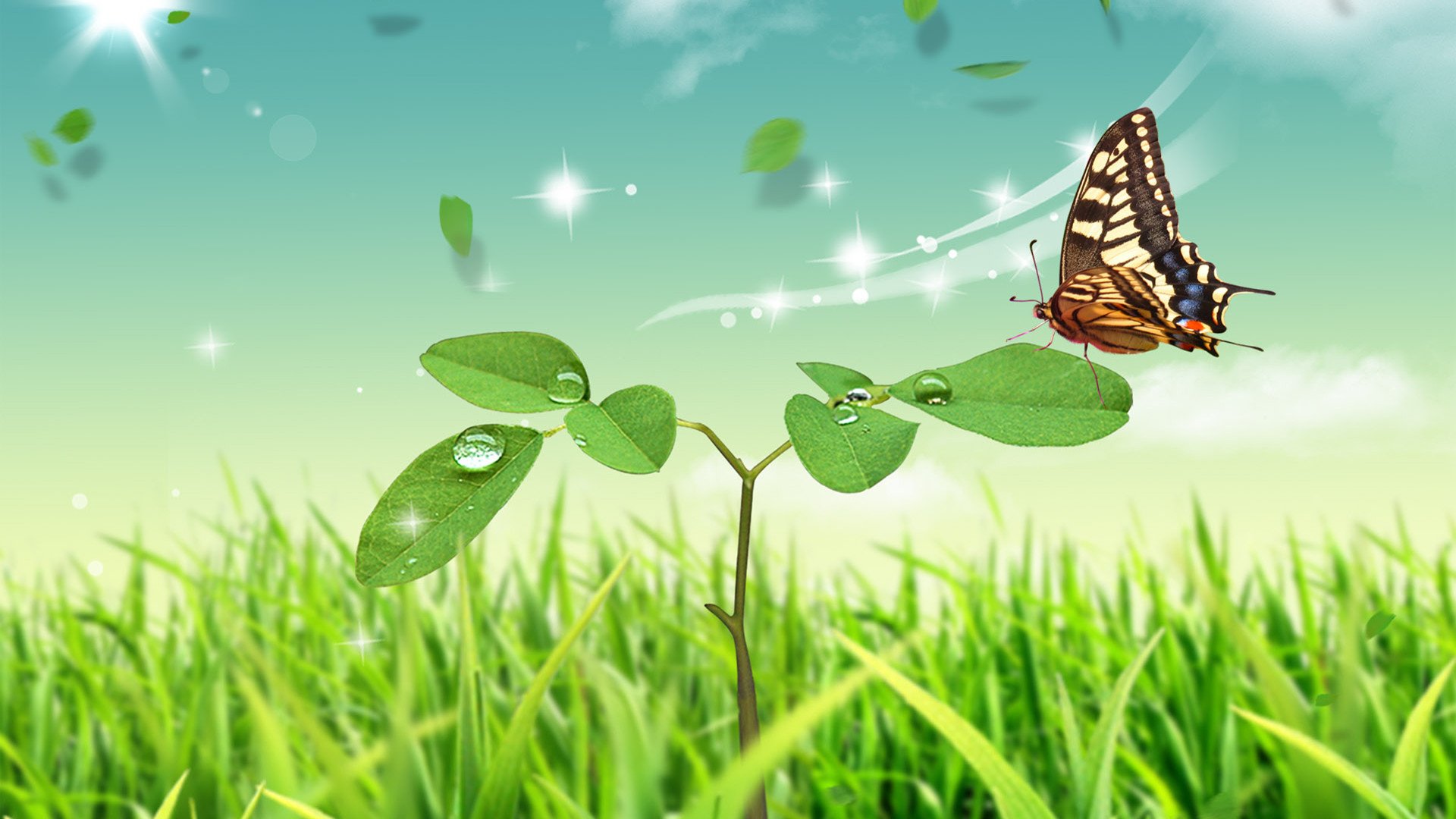 小清新,舒缓压力,蝴蝶,2月10日,儿童桌面专用