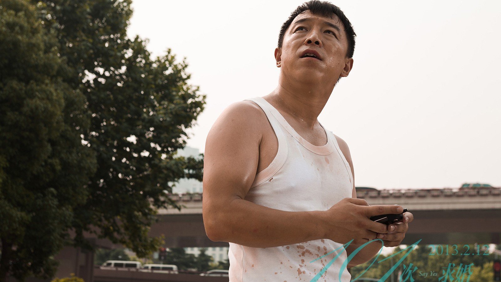 影视,101次求婚,2月20日