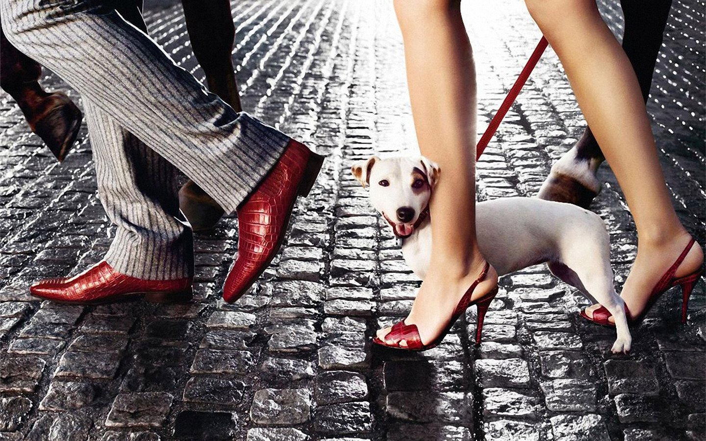 炫酷,设计,趣味,炫彩,2月19日