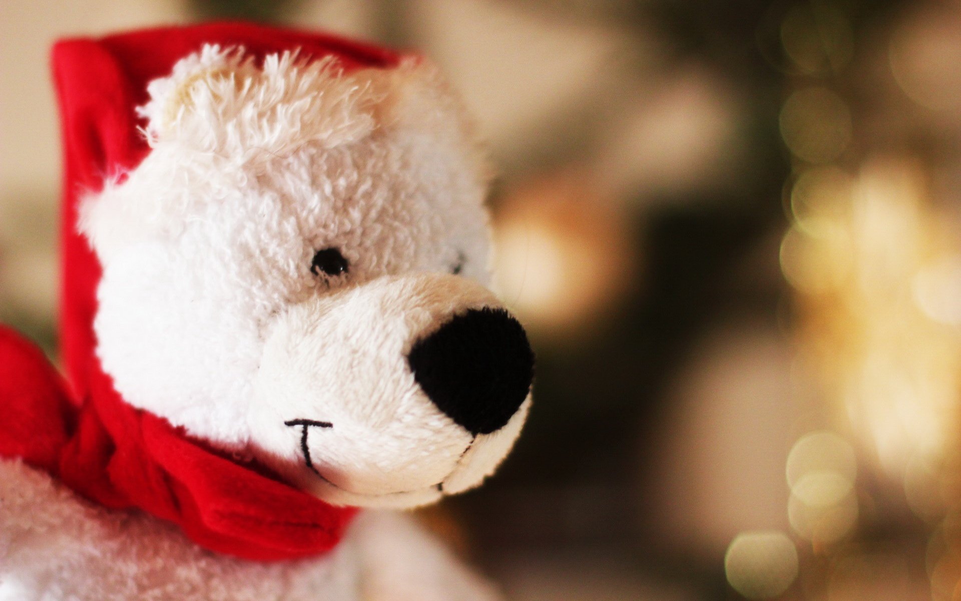 小清新,静物写真,玩偶,2月22日,儿童桌面专用