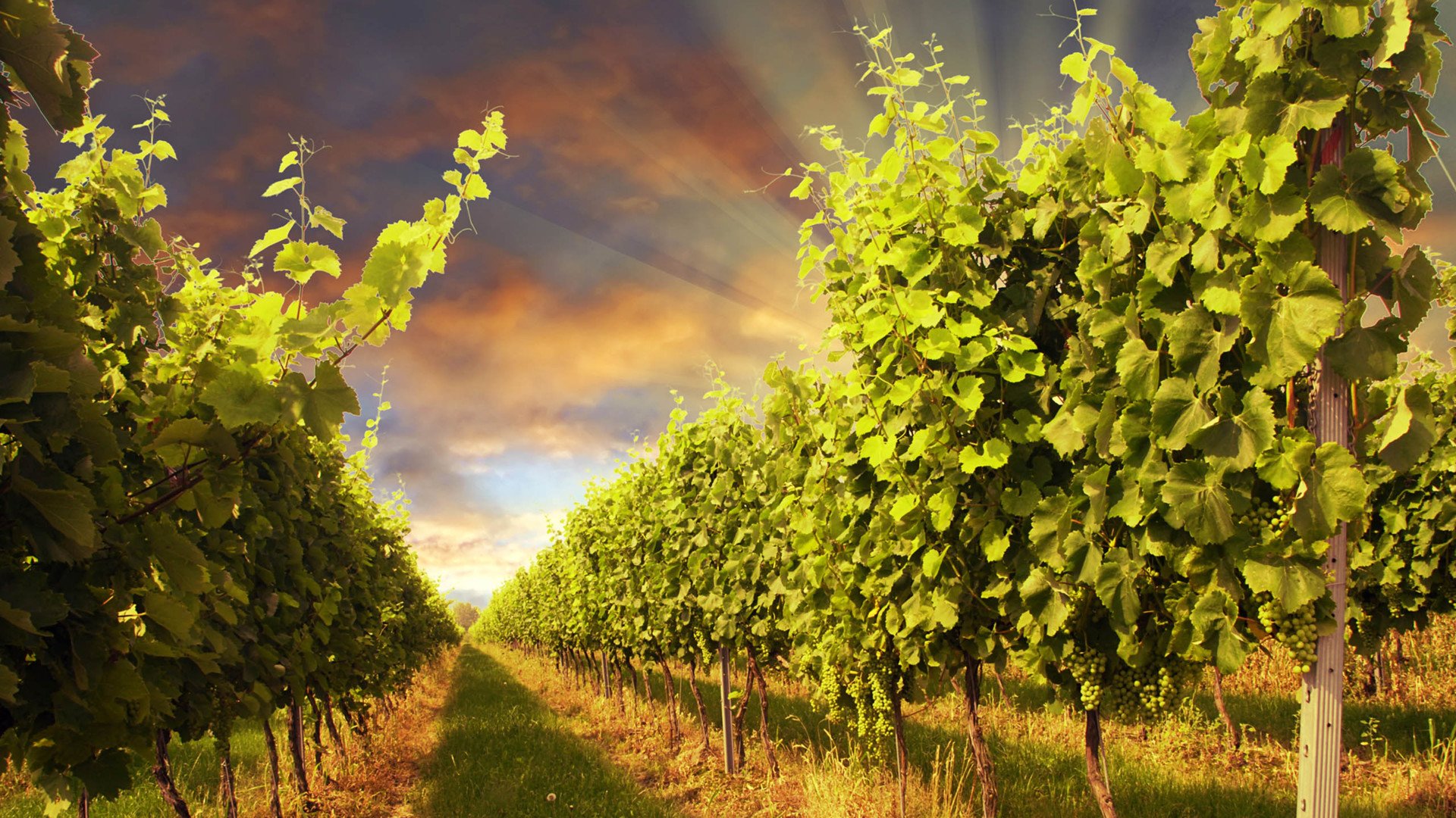 秀丽景色,风景,风光,美景,旅游,自然,儿童桌面专用