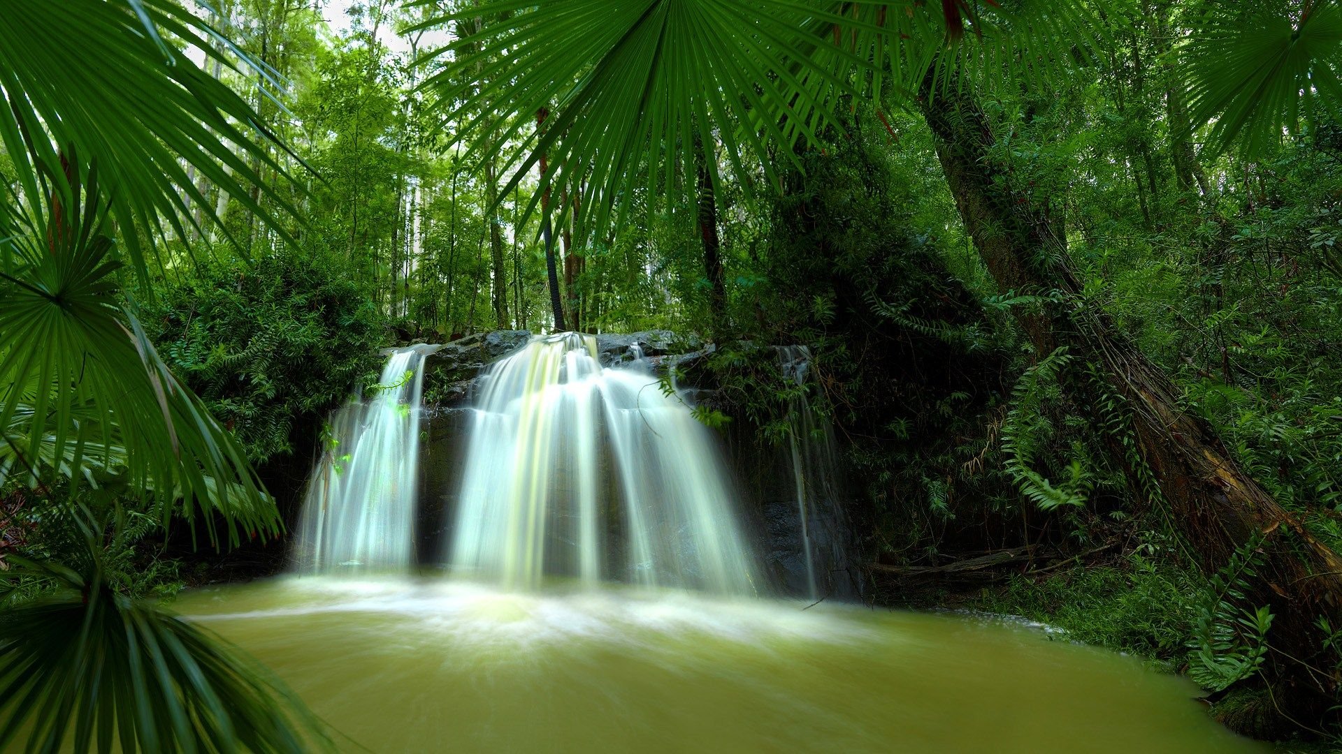 春意盎然,风景,风光,美景,旅游,自然,春天,清爽,儿童桌面专用