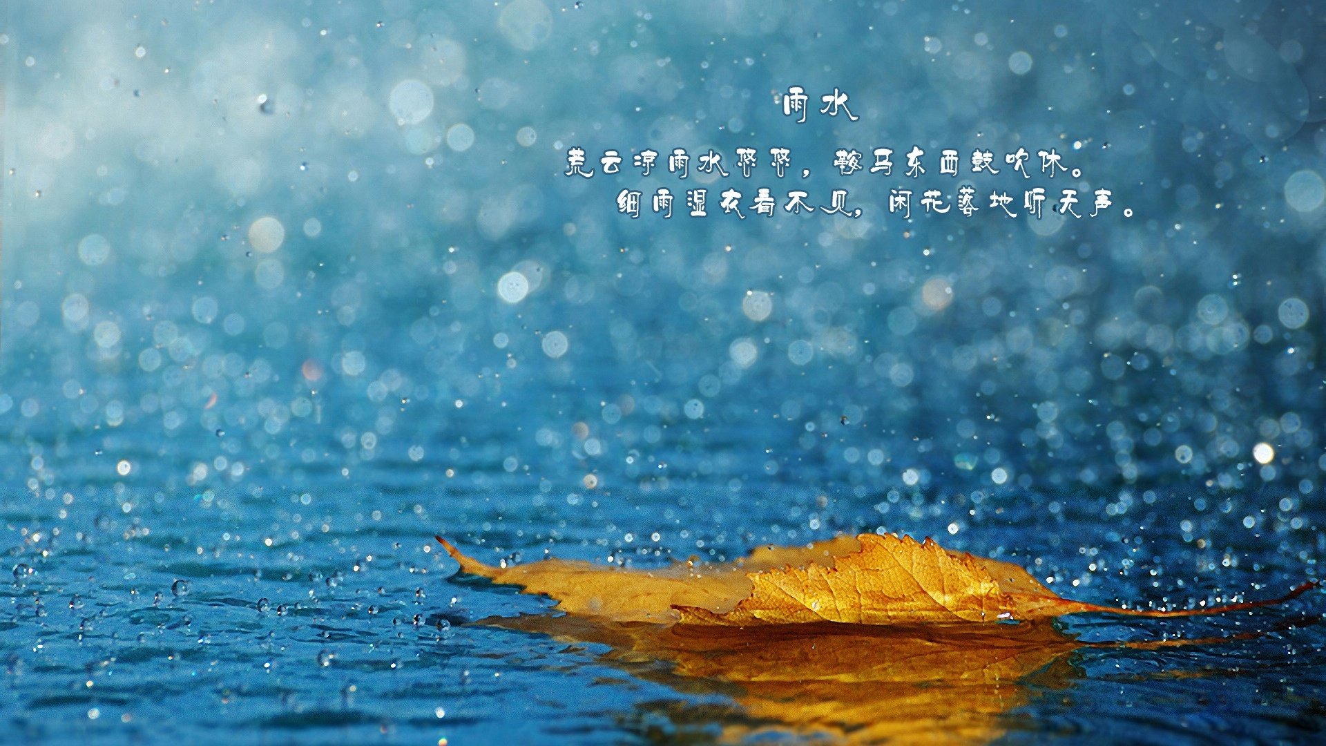 节日,节气,雨水,24节气,儿童桌面专用