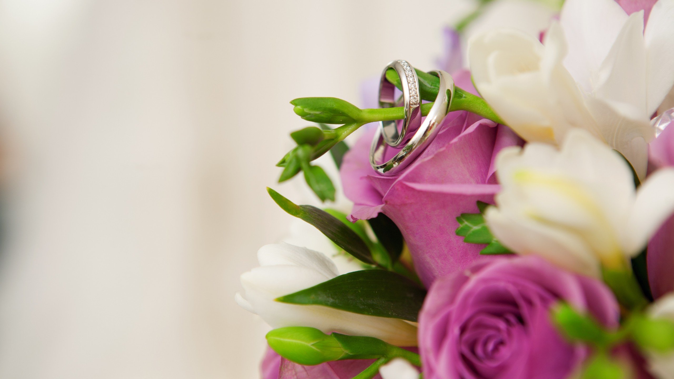 爱情美图,唯美温馨,玫瑰