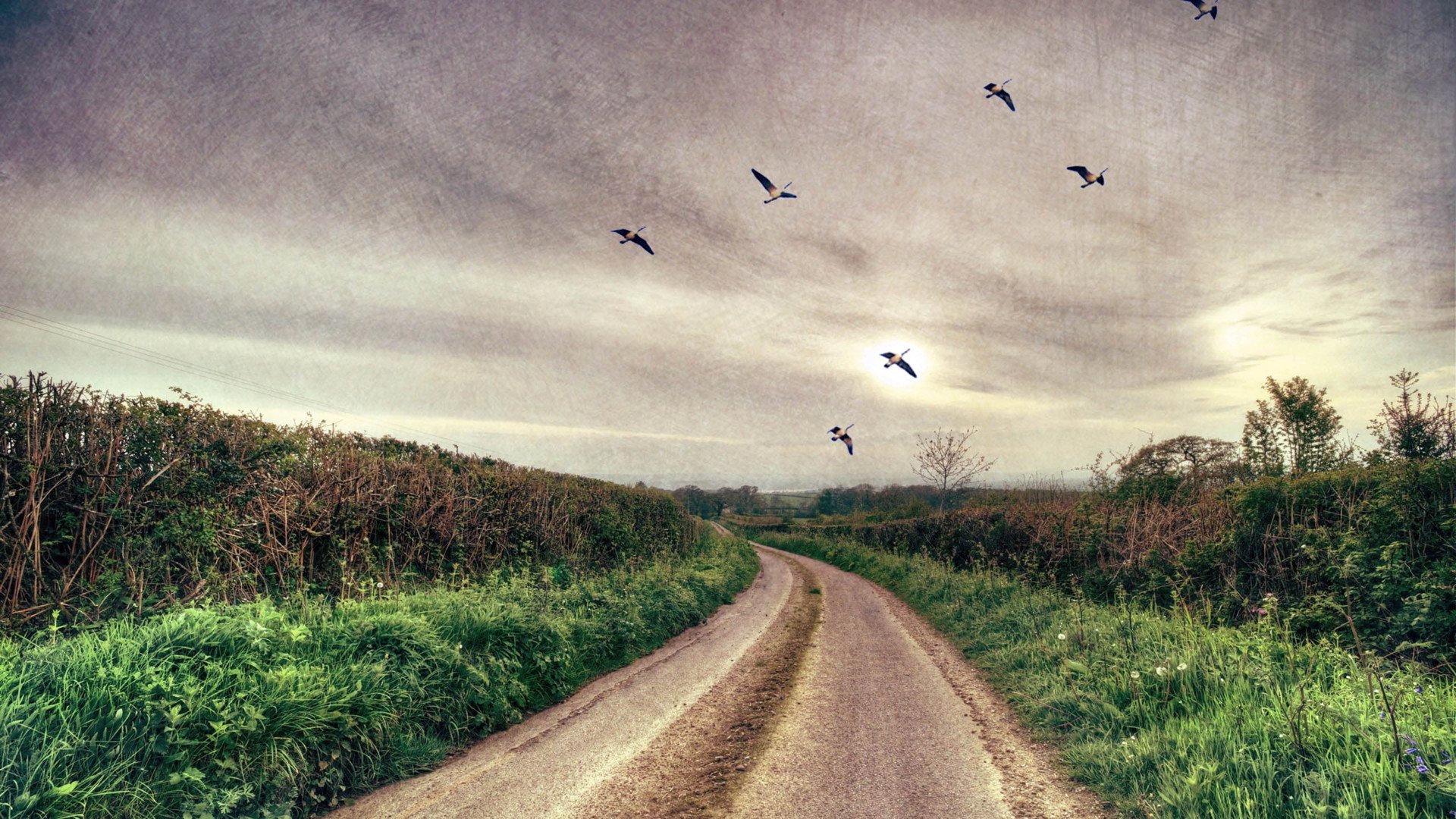 秀丽景色,风景,风光,美景,旅游,自然,儿童桌面专用