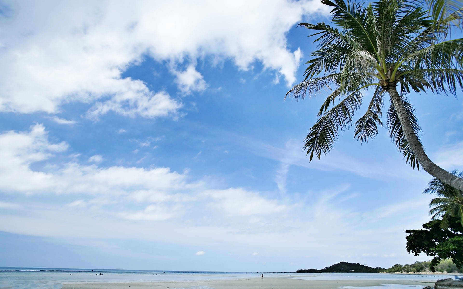 小清新,清新淡雅,海滩,2月9日,儿童桌面专用