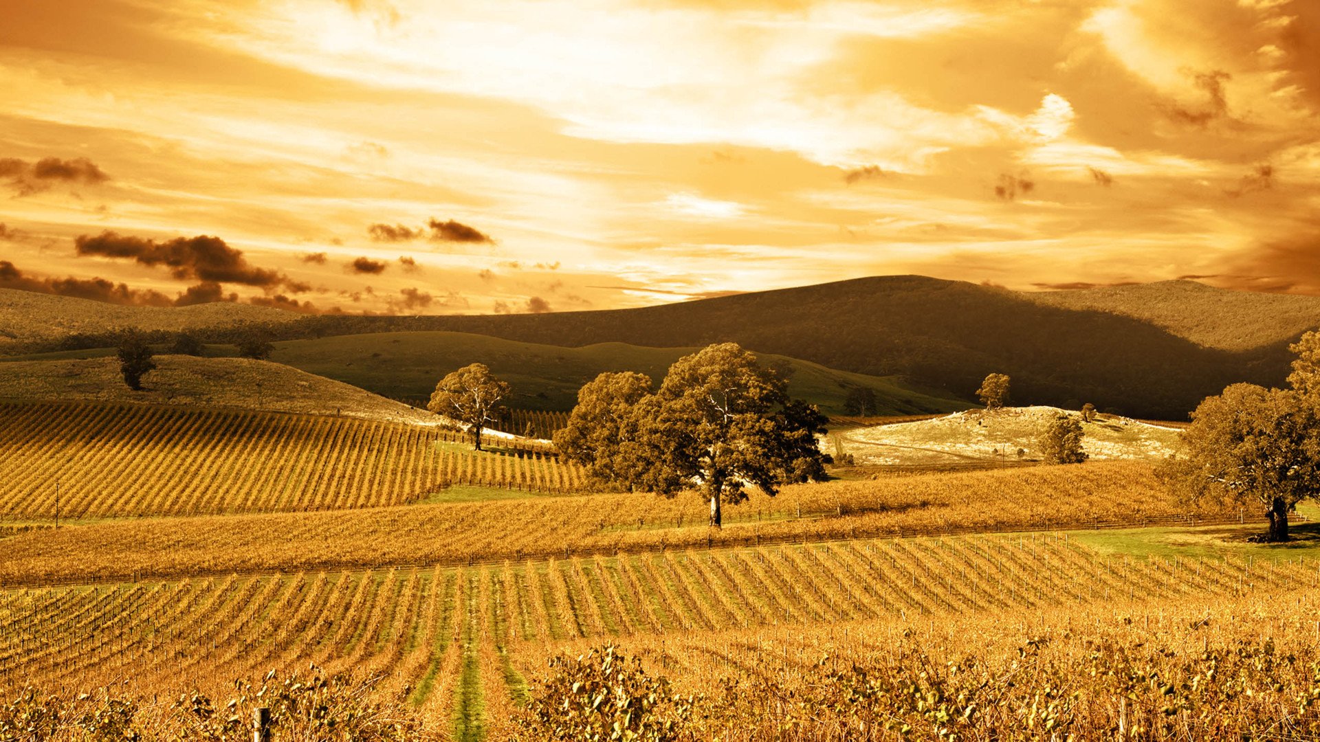 秀丽景色,风景,风光,美景,旅游,自然,儿童桌面专用