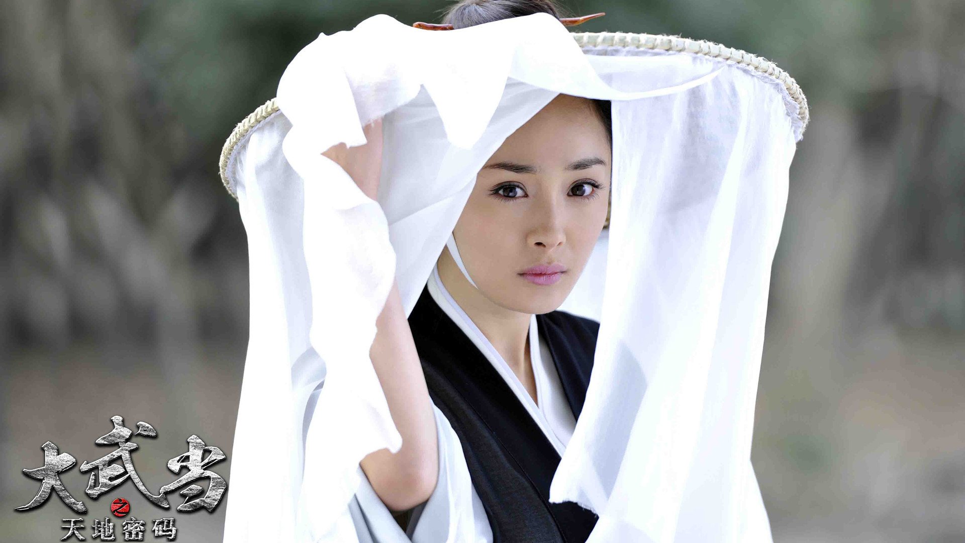 影视,大武当之天地密码,杨幂,2月20日