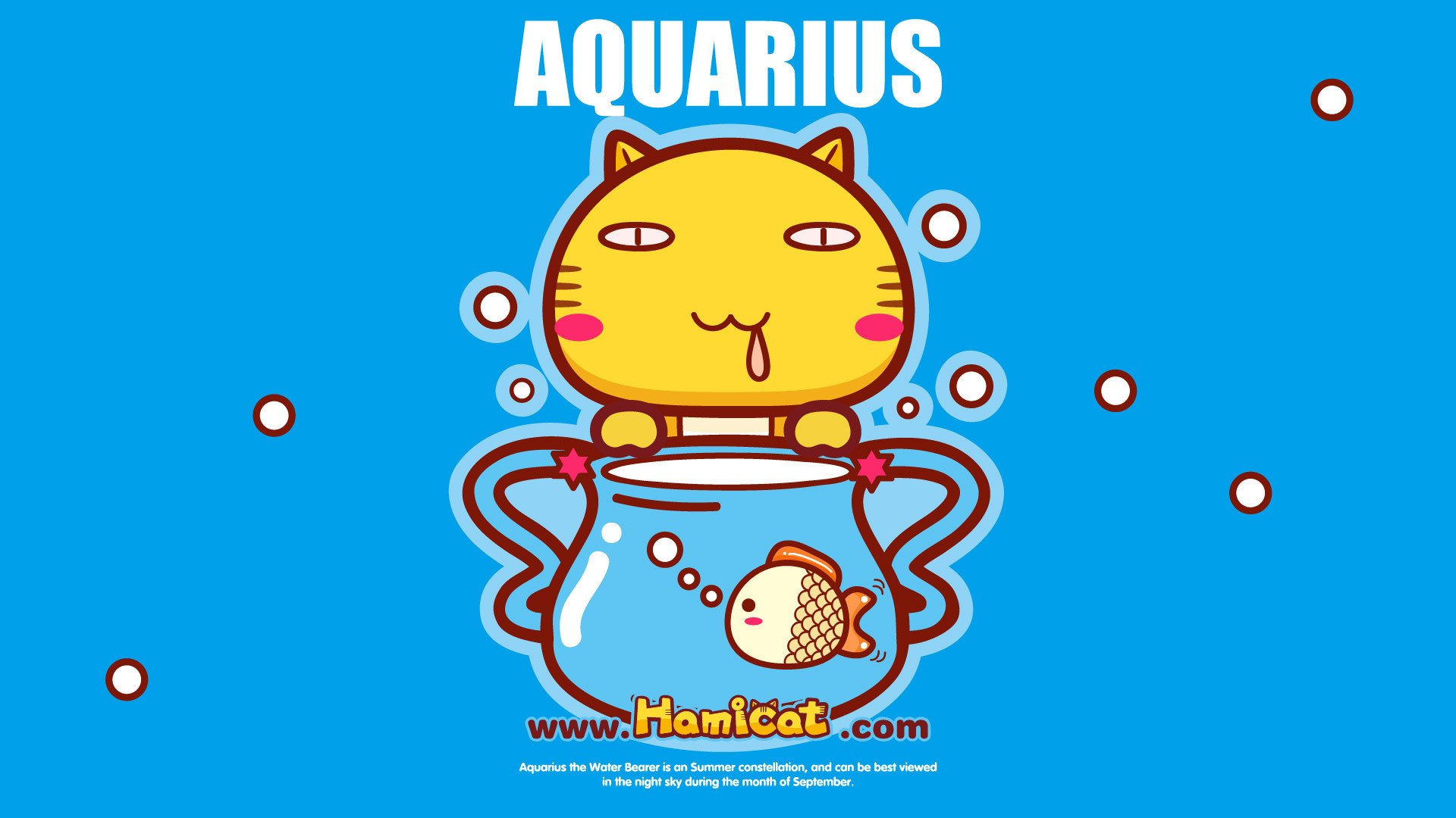 动漫,Hamicat,哈咪猫,插画,星座,水瓶座,儿童桌面专用