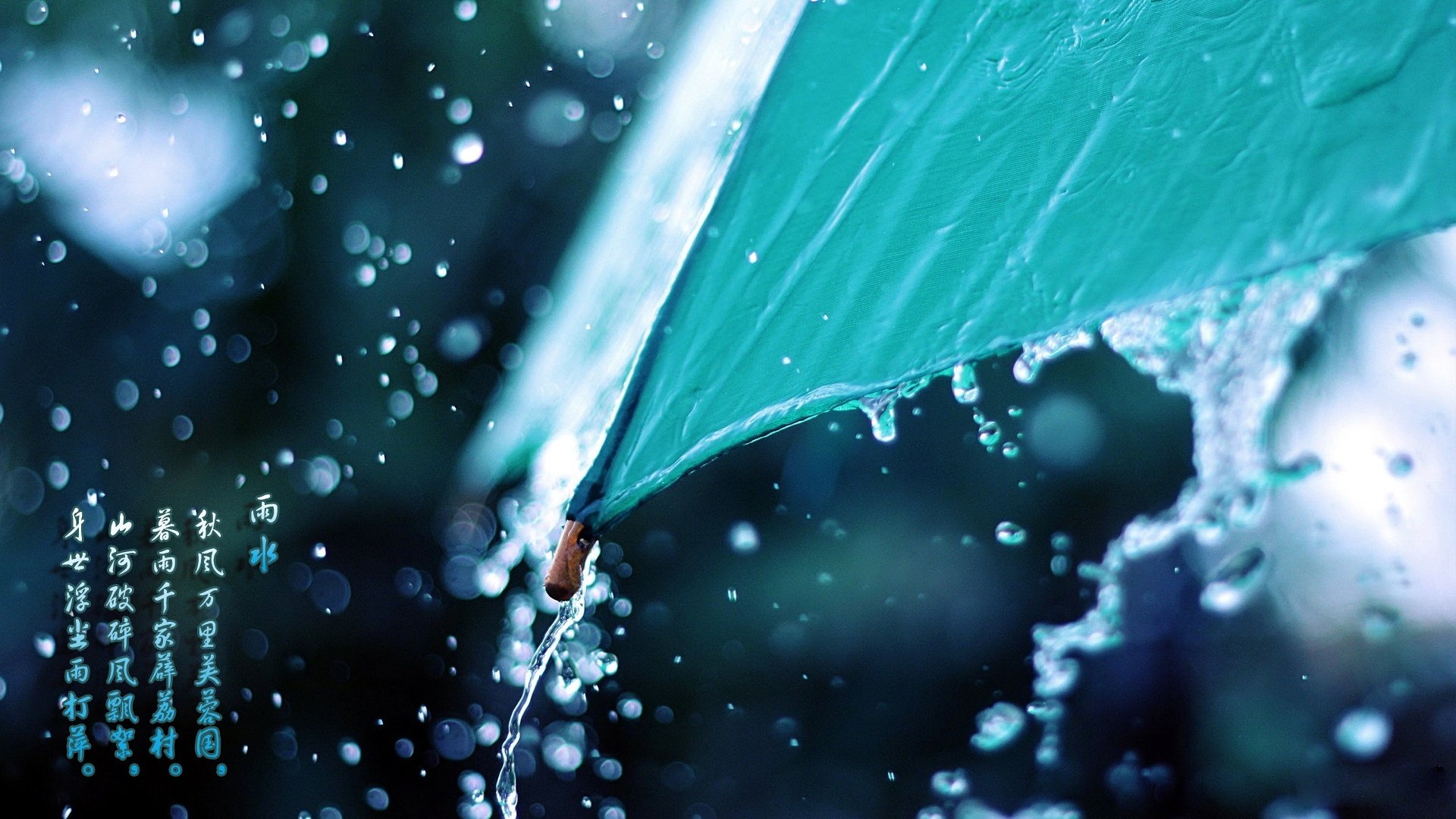 节日,节气,雨水,24节气,儿童桌面专用