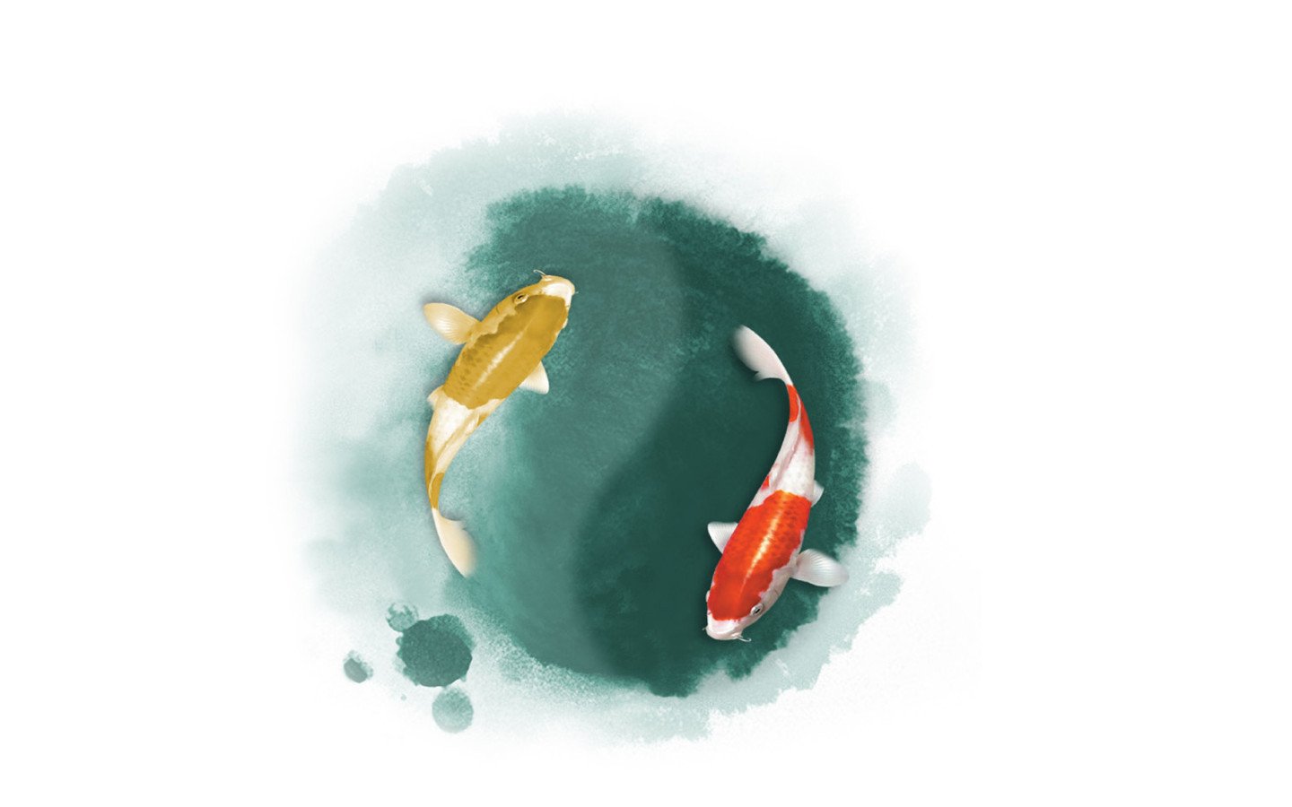 炫酷,设计,简约,鱼,太极,2月1日,儿童桌面专用