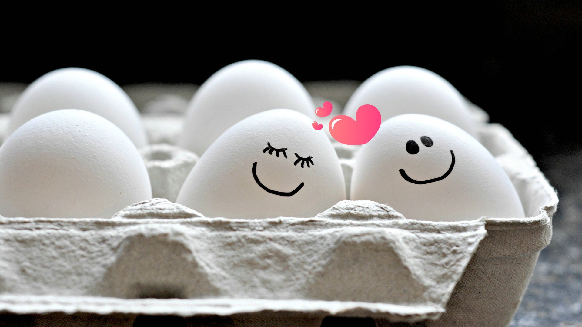 爱情美图,唯美温馨,鸡蛋的爱情