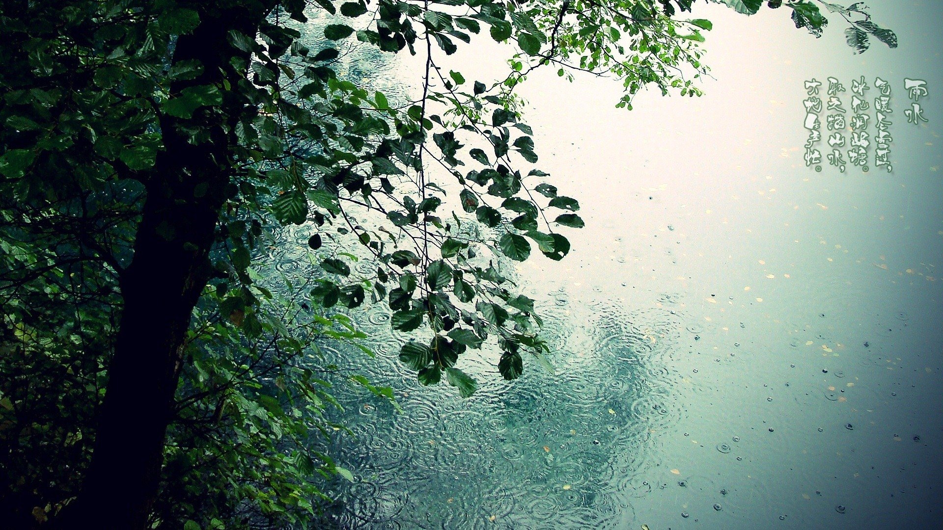 节日,节气,雨水,24节气,儿童桌面专用