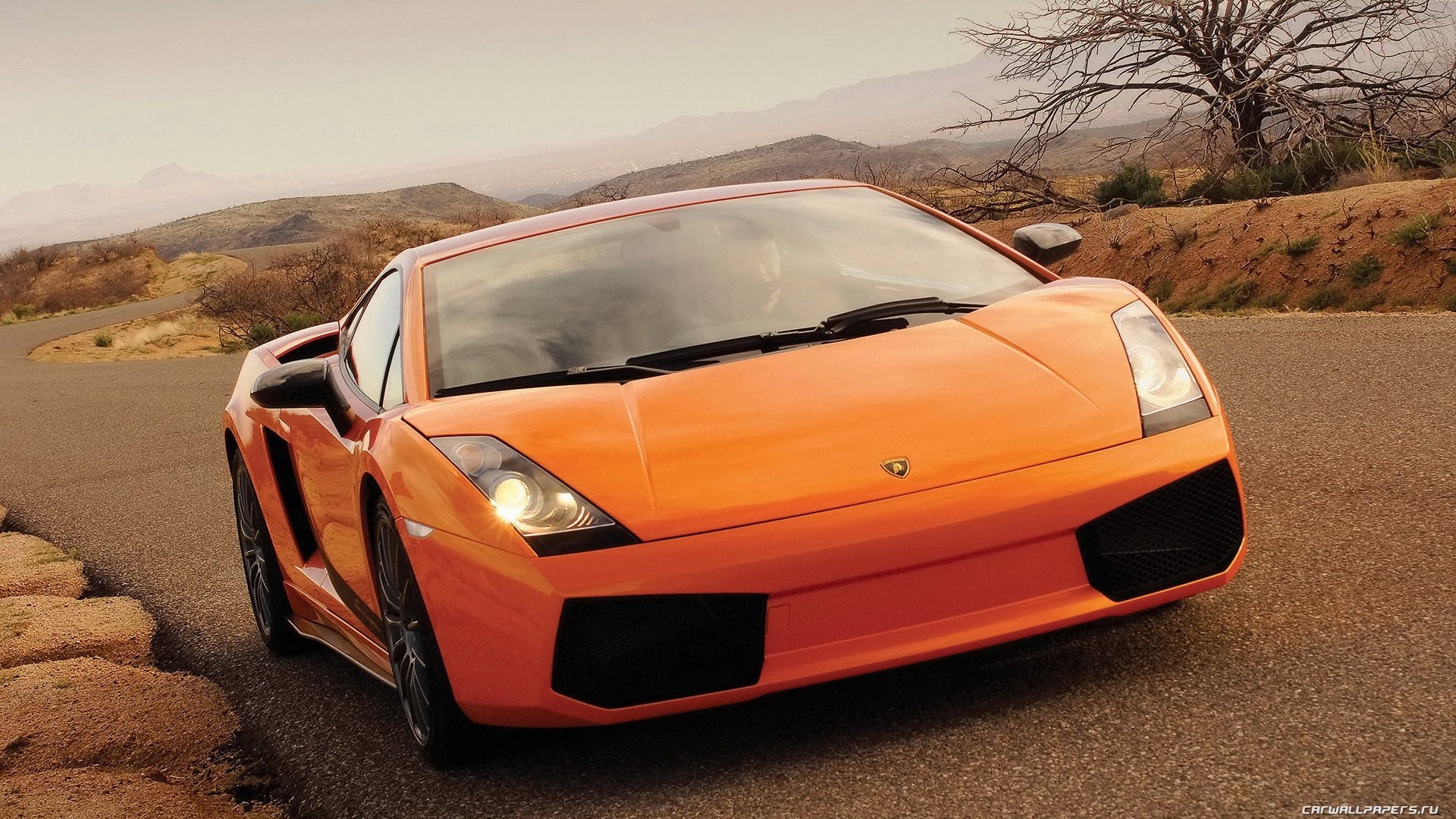 汽车,超跑,兰博基尼,盖拉多,橙色,儿童桌面专用