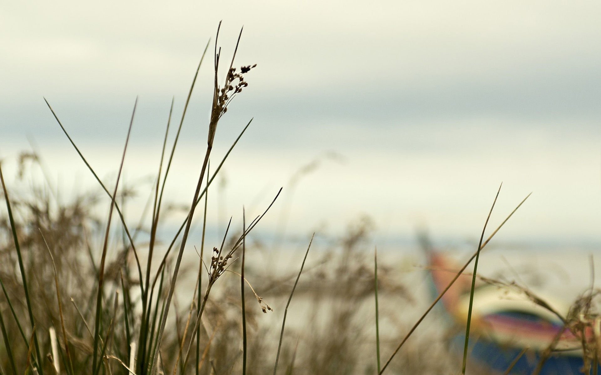 葡萄牙,风景,风光,美景,旅游,儿童桌面专用