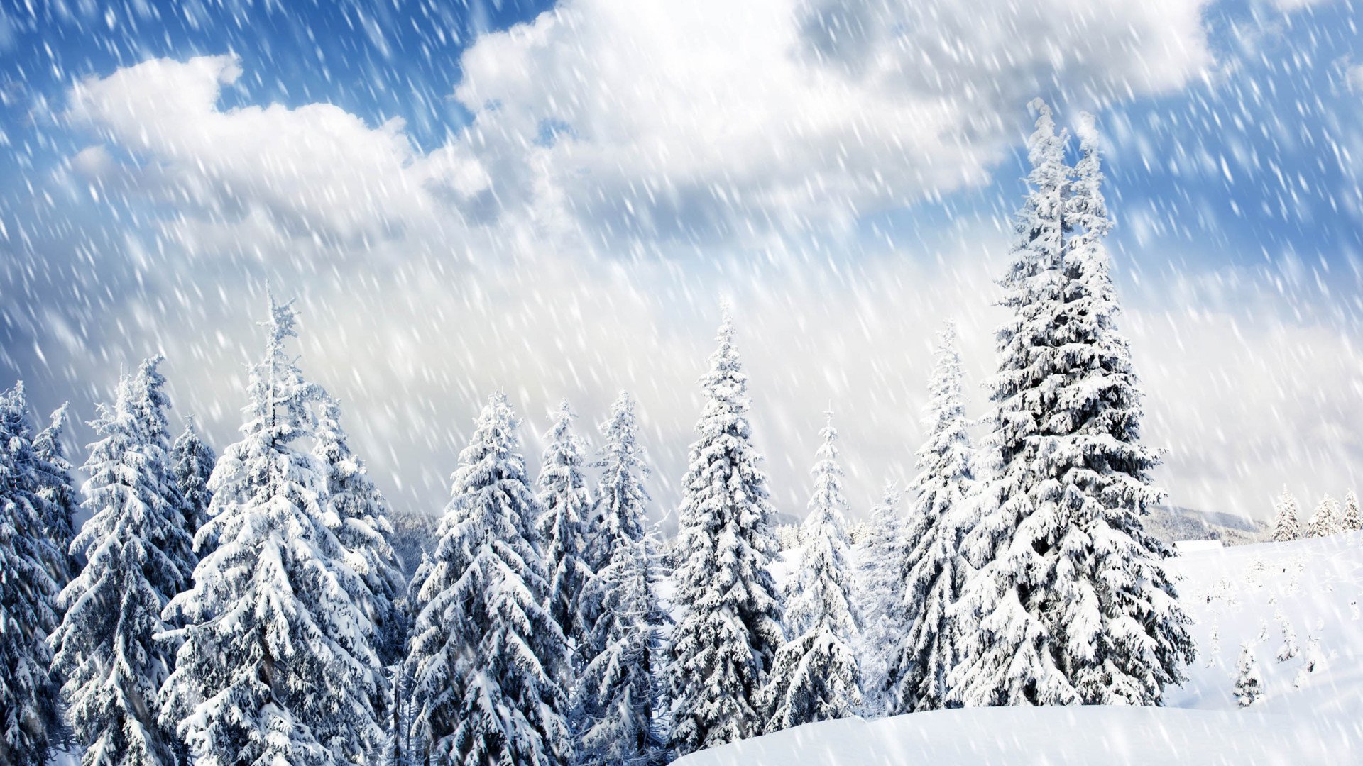 秀丽景色,风景,风光,美景,旅游,自然,儿童桌面专用