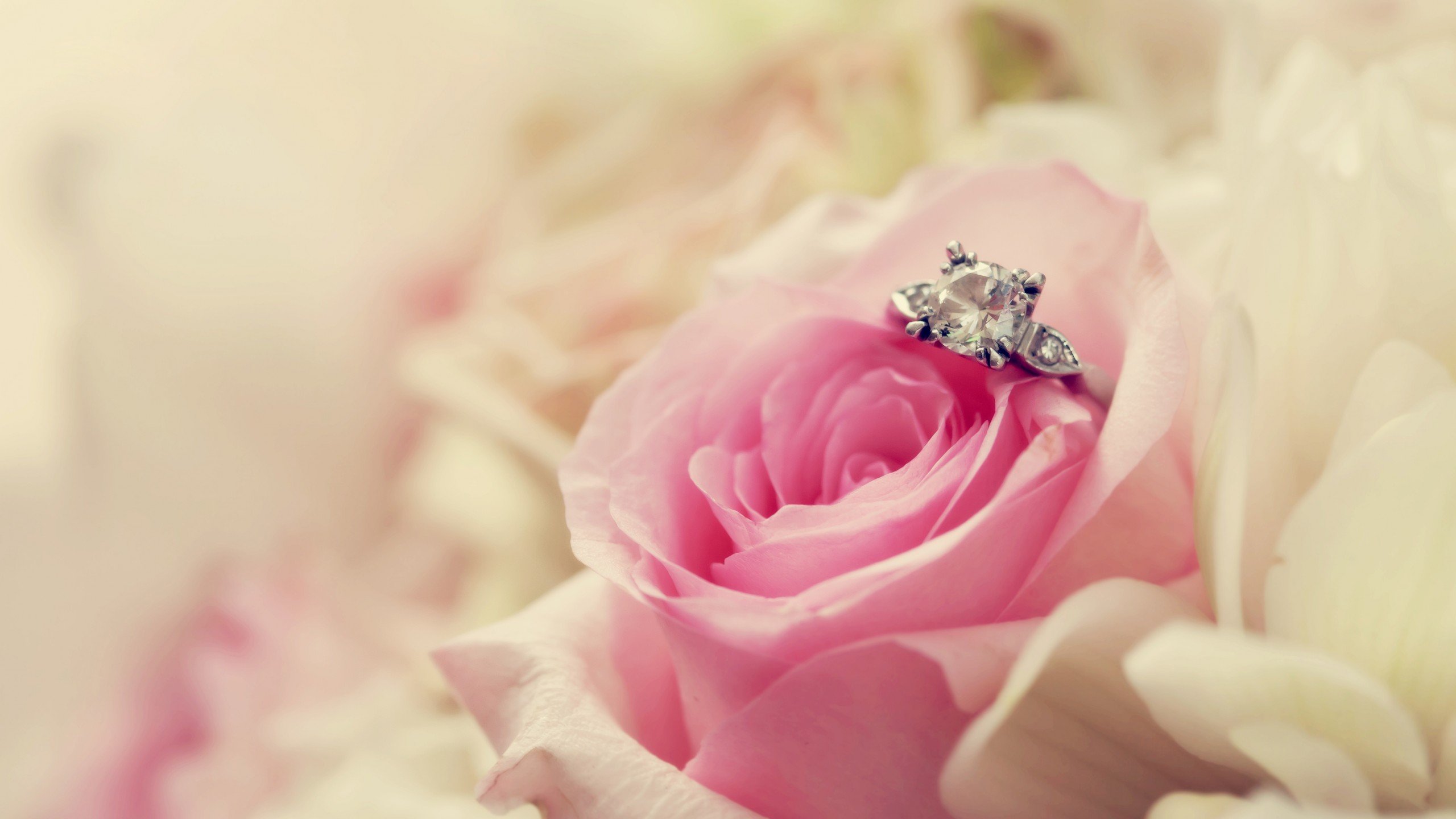 爱情美图,唯美温馨,玫瑰,戒指,浪漫